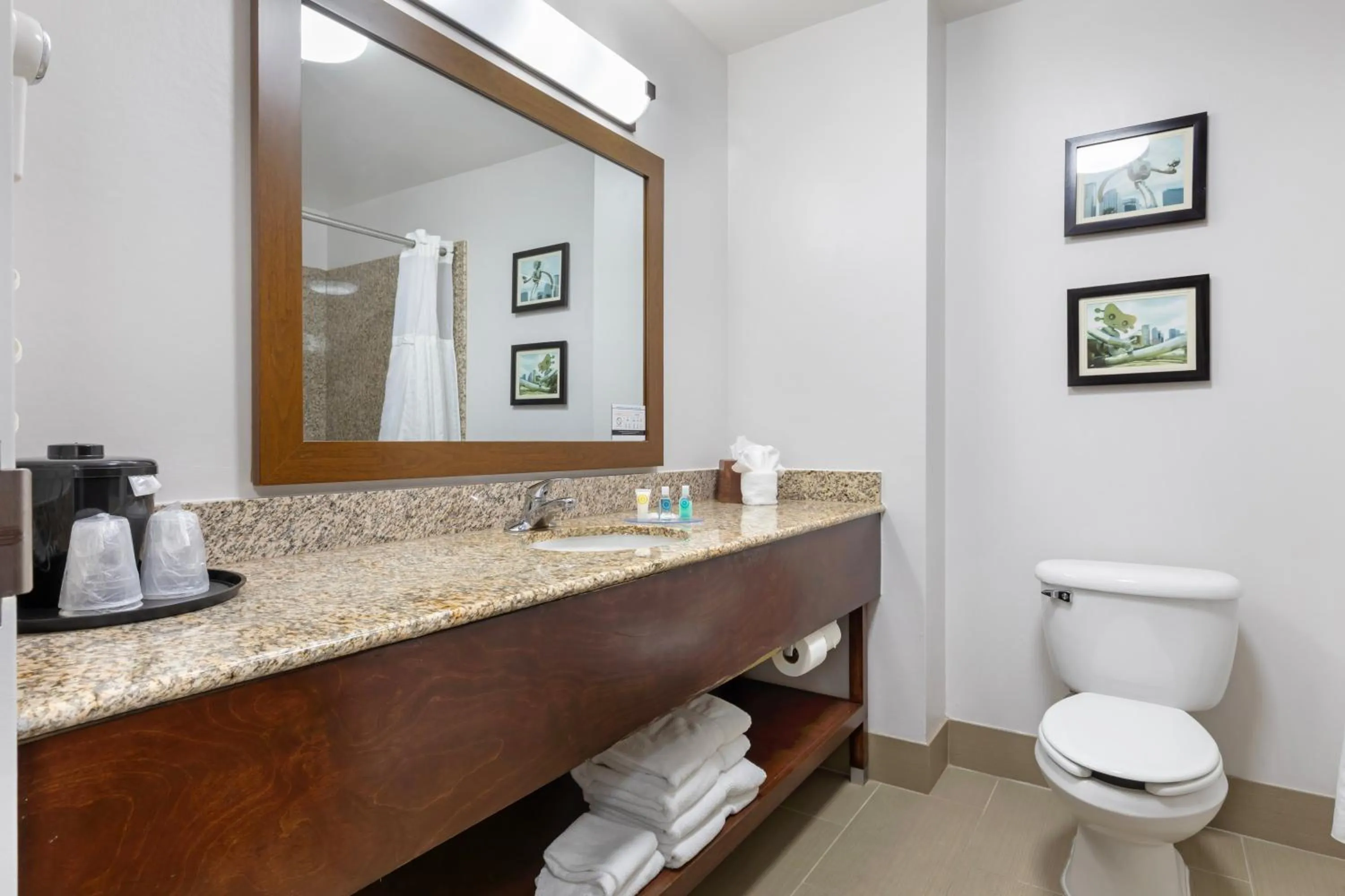 Suite with Two Queen Beds - Accessible/Non-Smoking in Comfort Suites DFW N-Grapevine