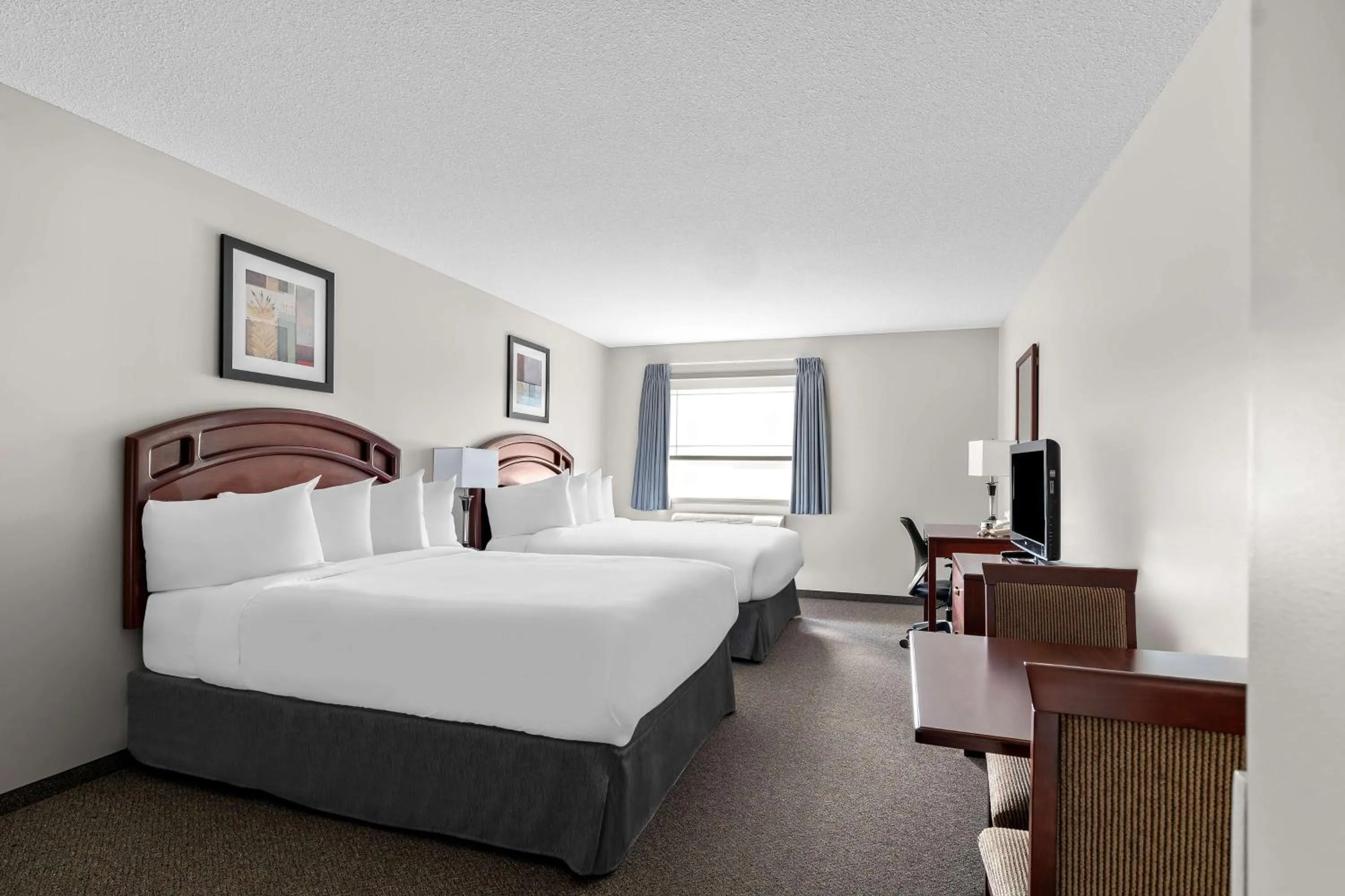Queen Room with Two Queen Beds in SureStay Plus Hotel by Best Western Hardisty
