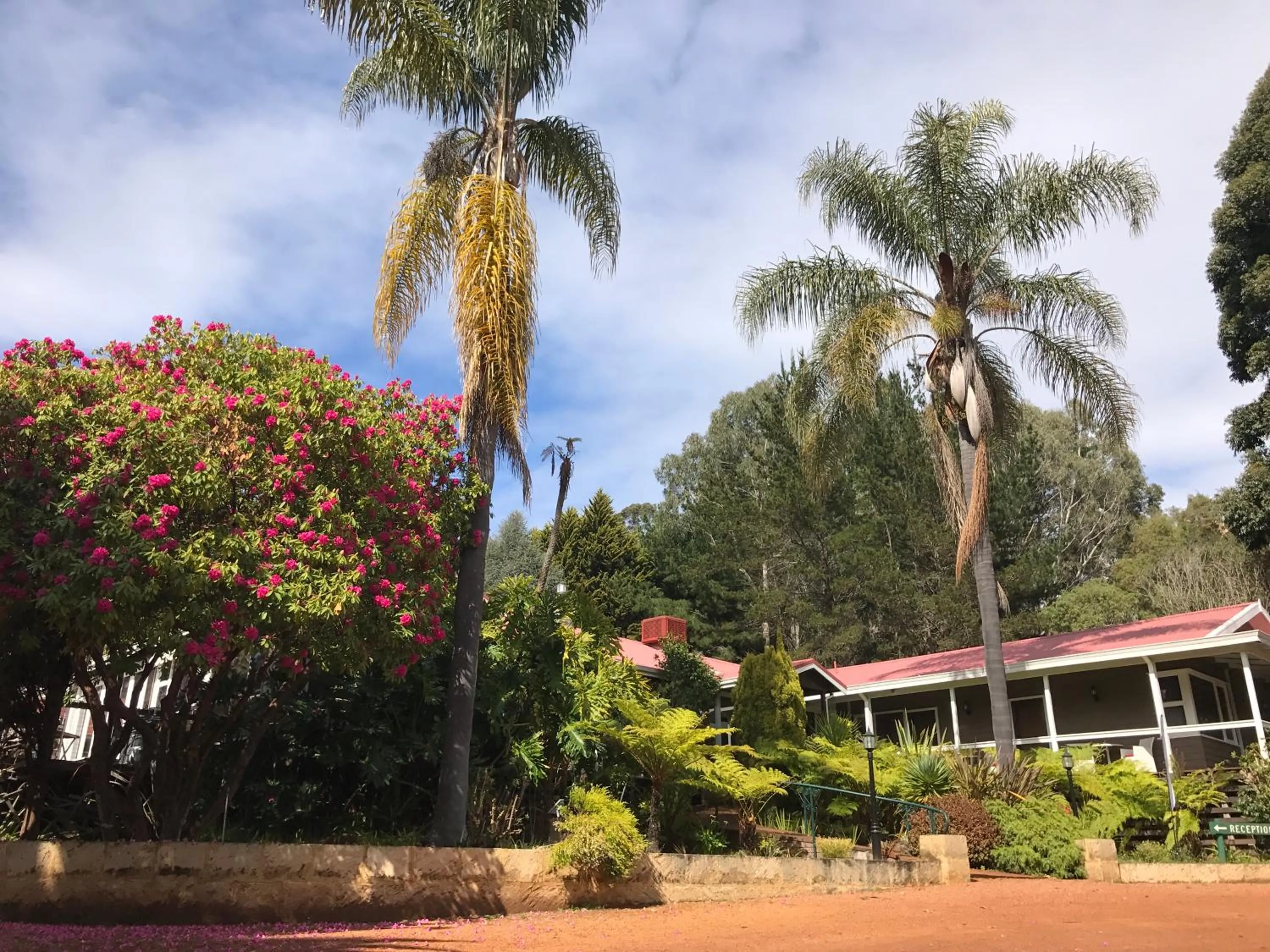 King Studio with Kitchen in Forest Lodge Resort