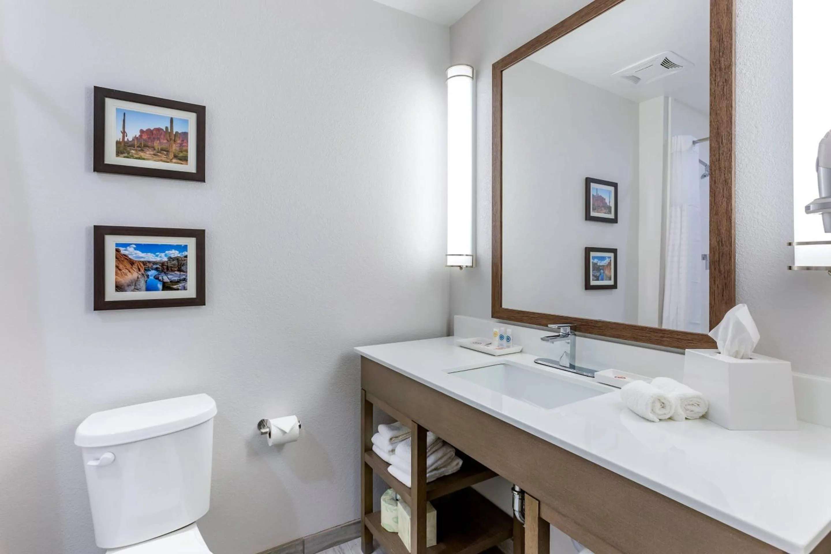 2 Queen Beds, Oversize 1 Room Suite, Mobility Accessible, Sofabed in Comfort Suites Scottsdale Talking Stick Entertainment District