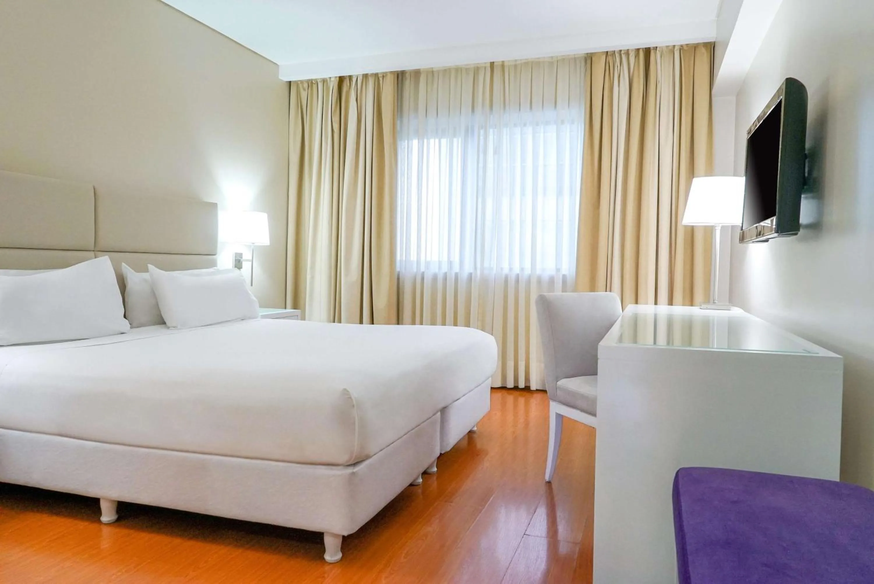 Standard Double or Twin Room in NH Mendoza Cordillera