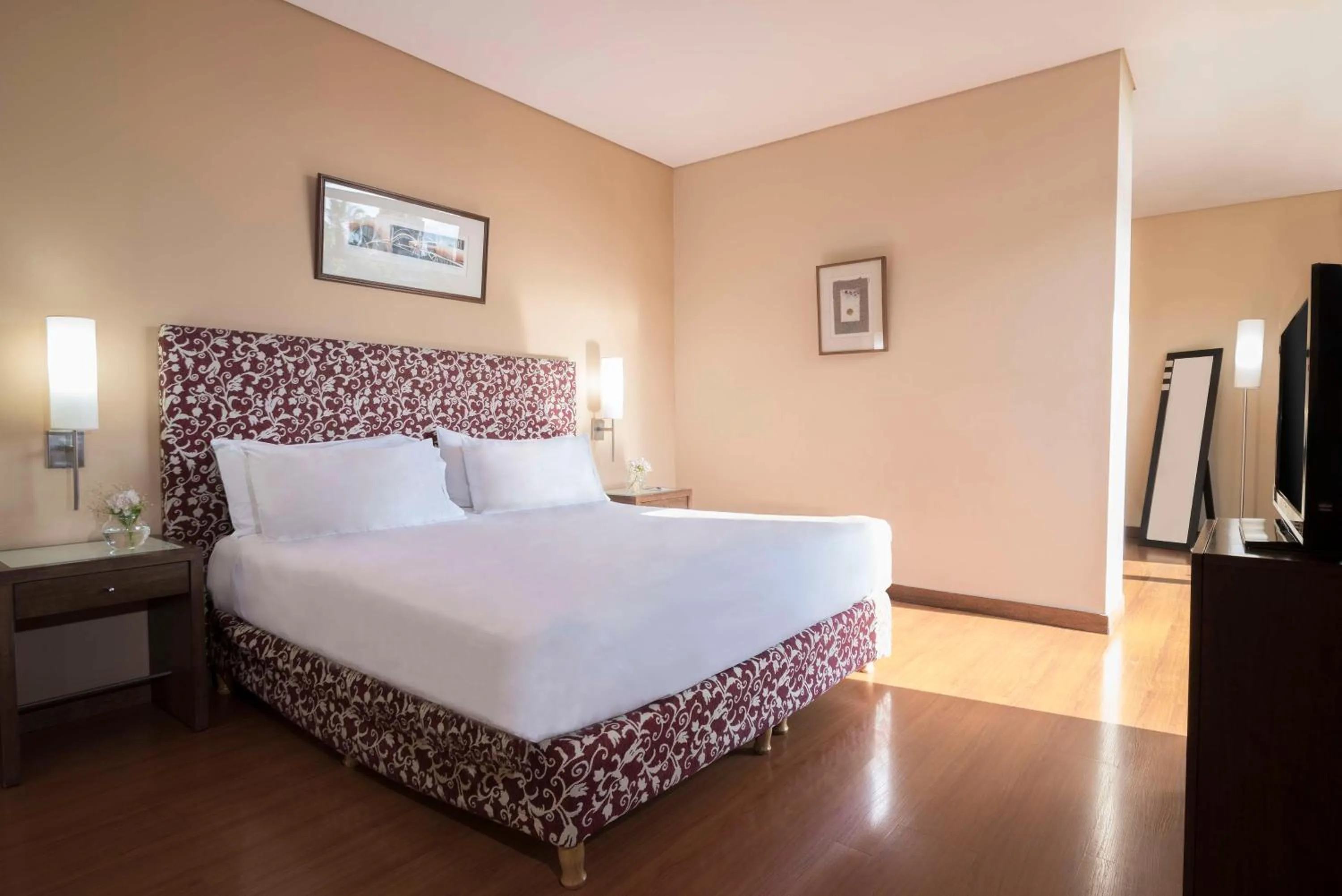 Junior Suite with Terrace in NH Mendoza Cordillera