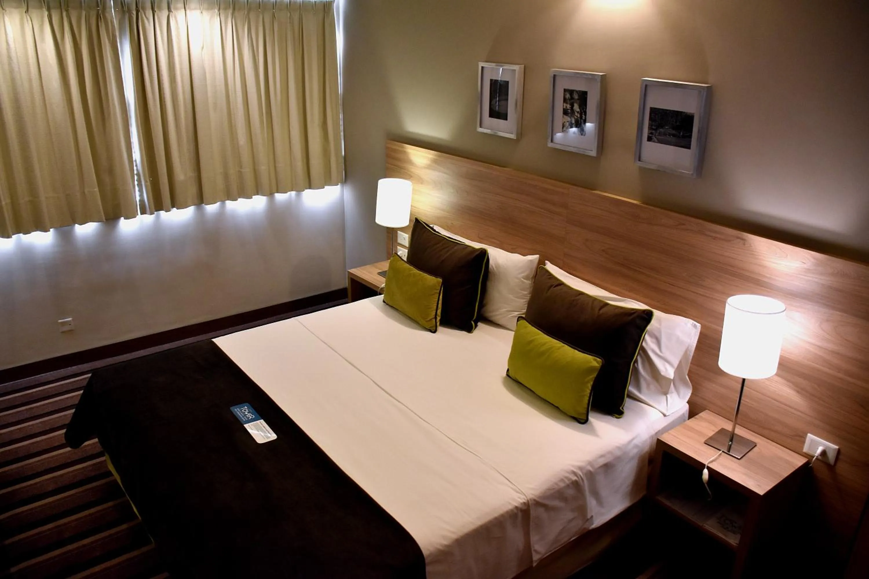 Double Room in Hotel Tower Inn & Suites