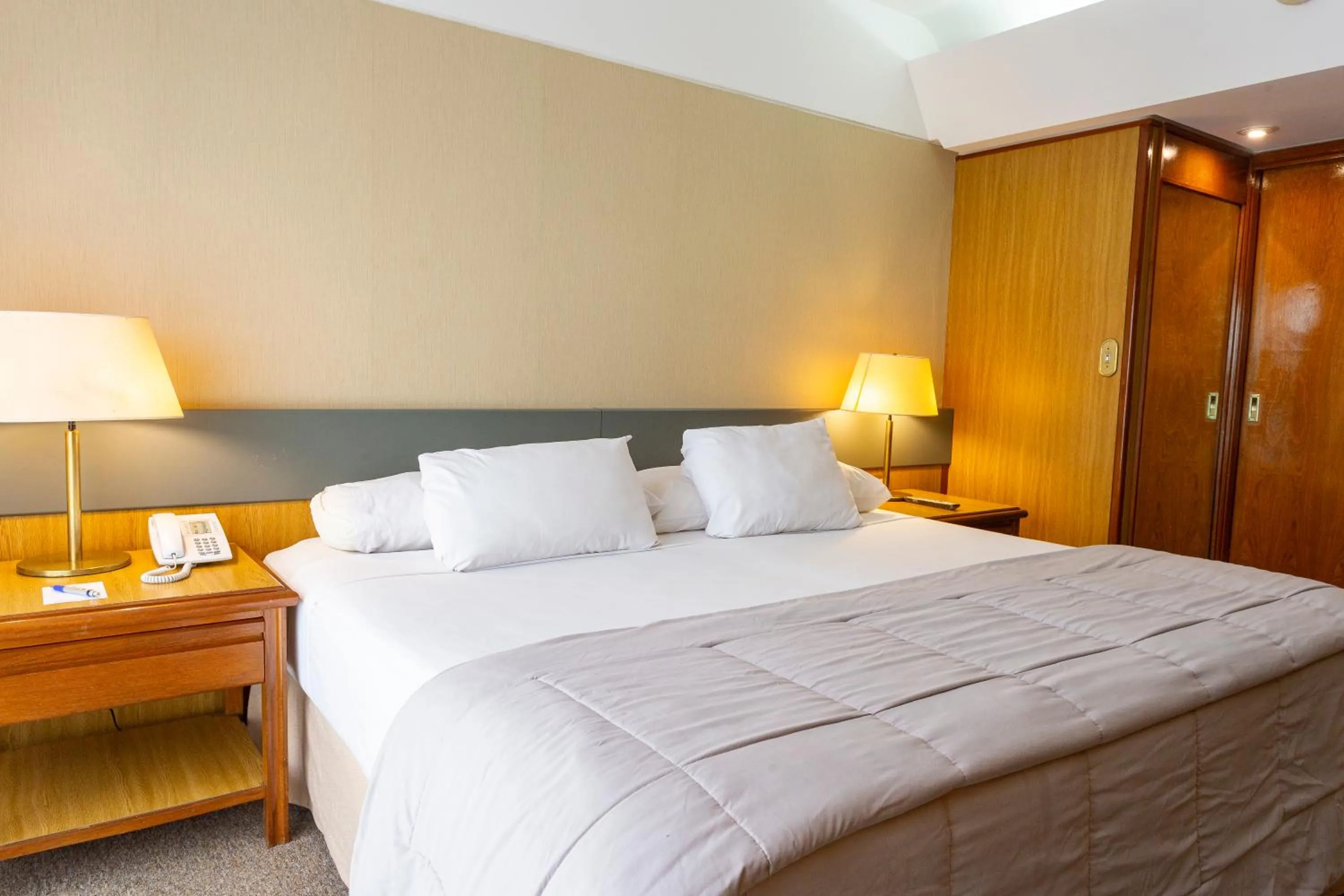 Double Room in Hotel Conte