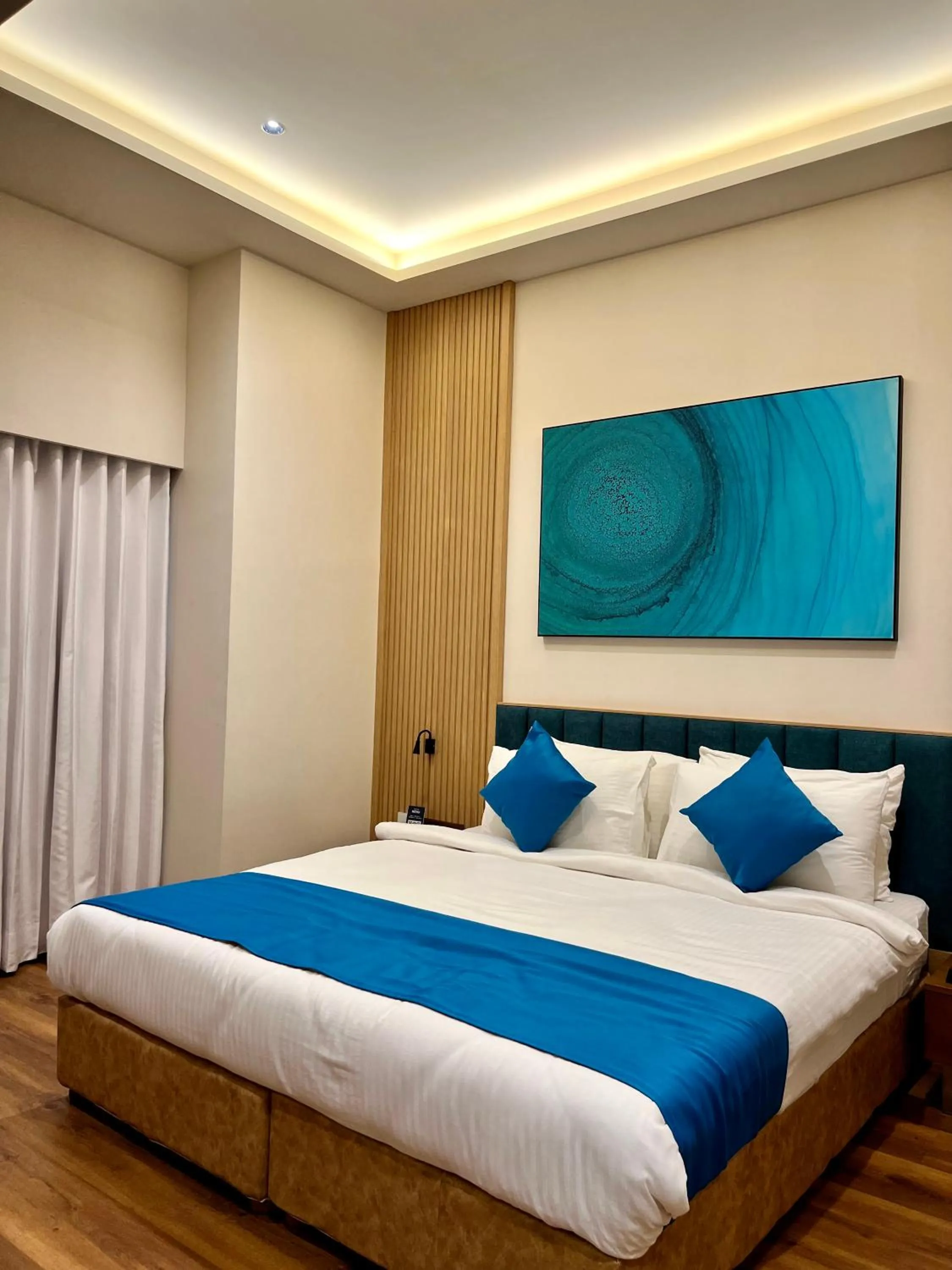 Deluxe Double Room - single occupancy in Hotel Blueivy Anand
