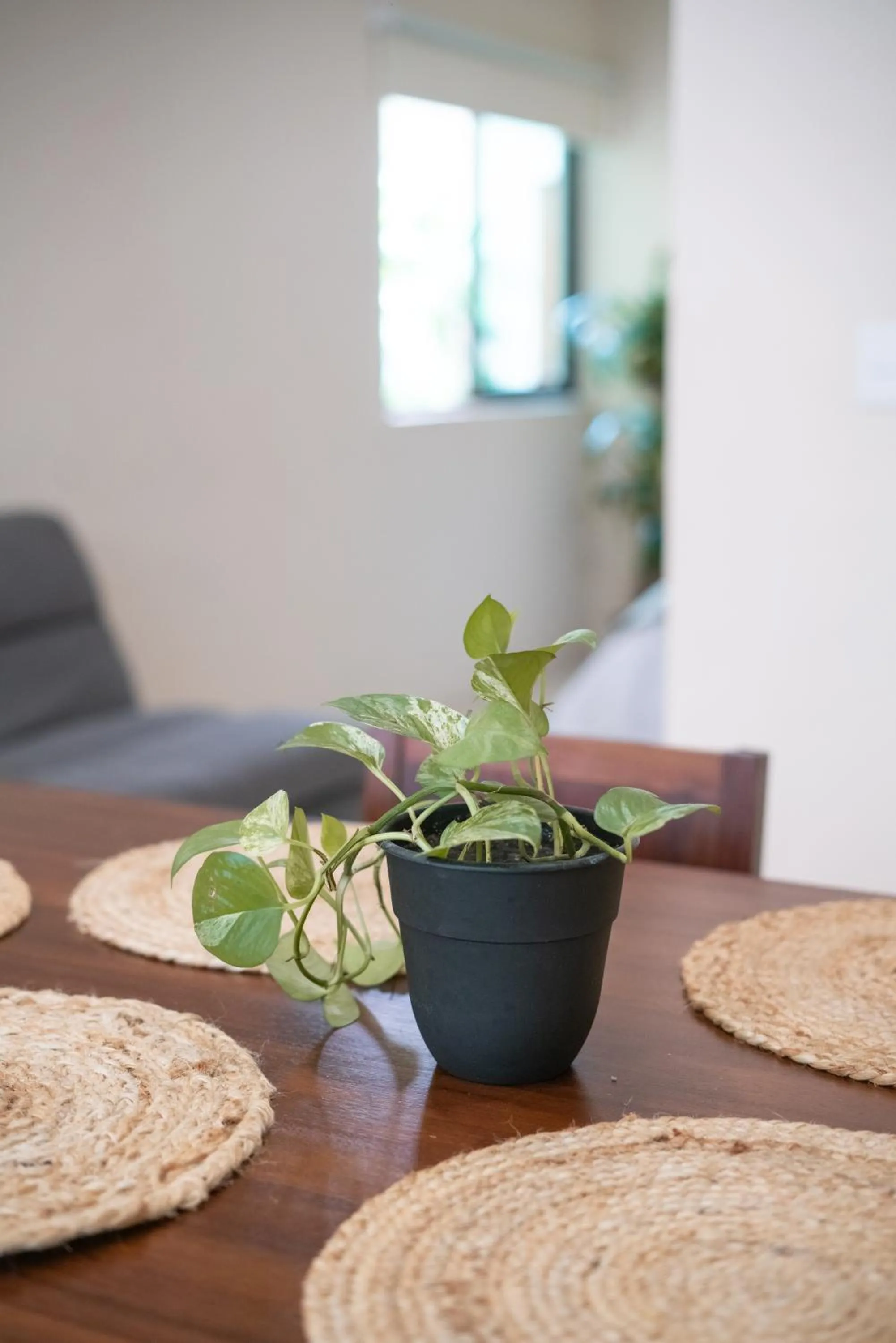 Master Suite King in Mayanah Bacalar