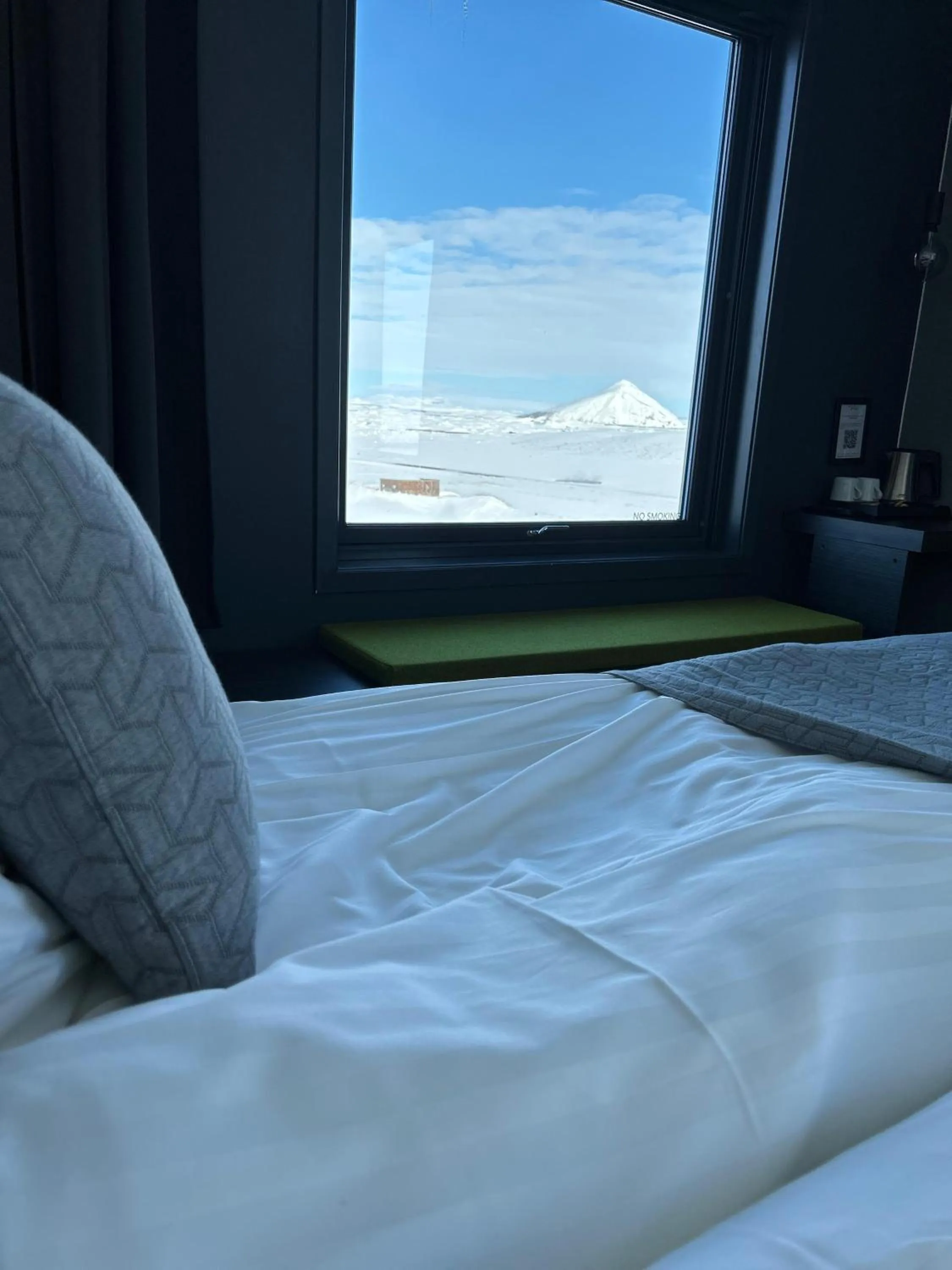 Double or Twin Room in Hótel Laxá