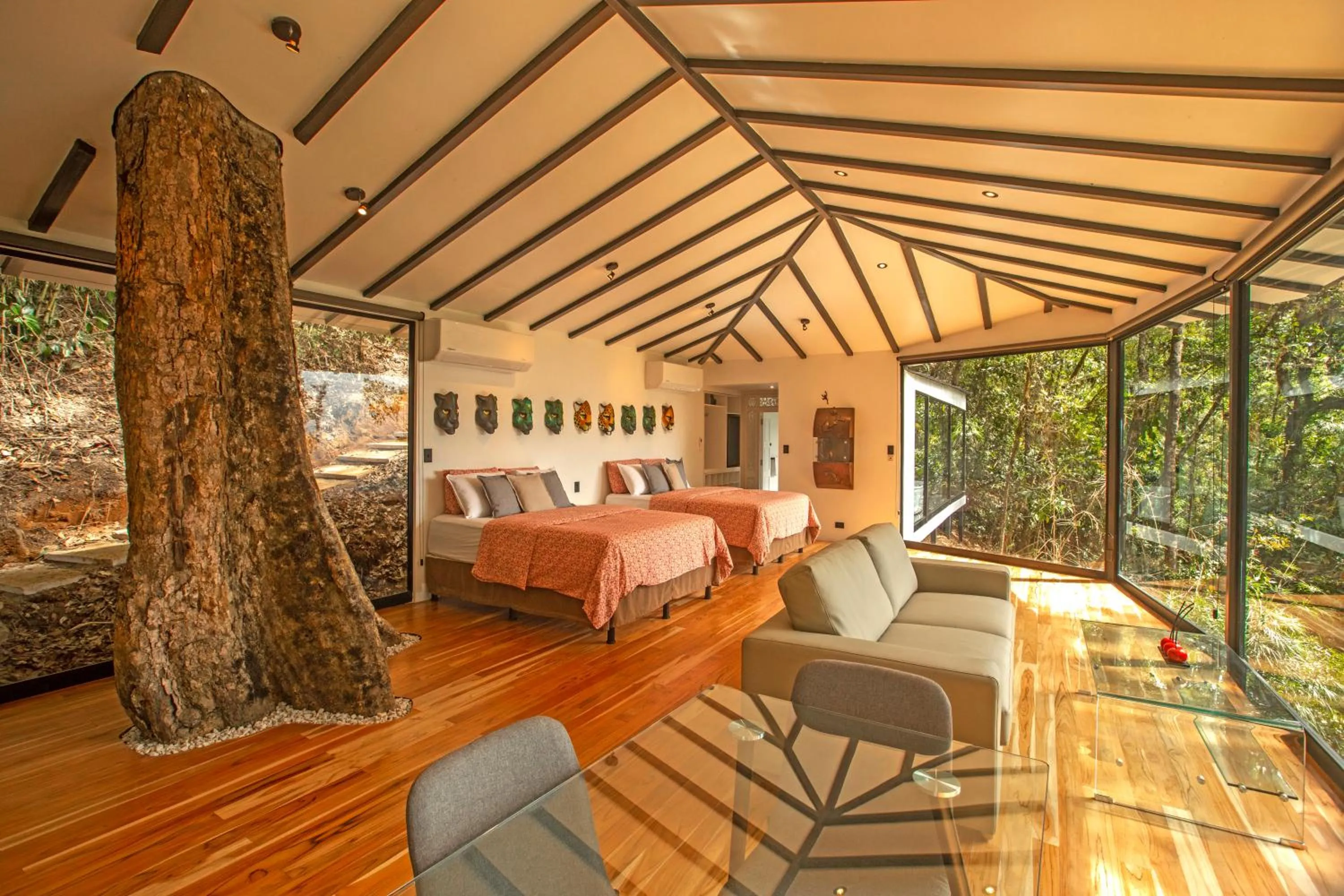 The Terraces in Dantica Cloud Forest Lodge