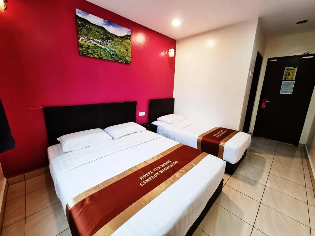 Triple Room in Hotel Sun Birds