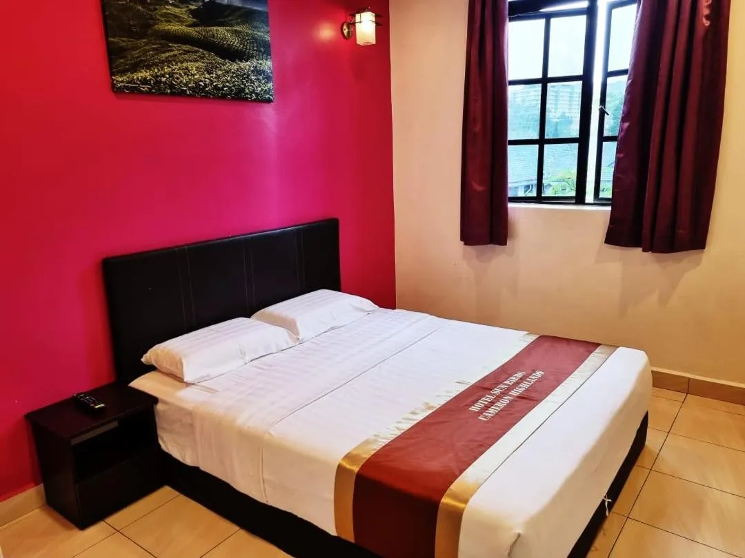 Deluxe Double Room in Hotel Sun Birds