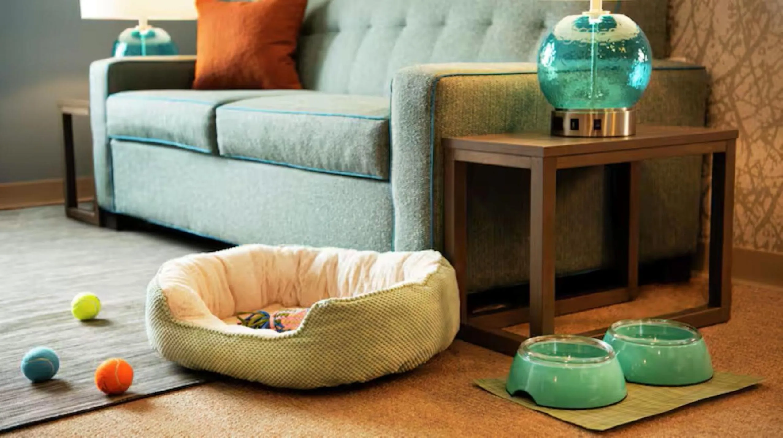 One-Bedroom King Suite in Home2 Suites By Hilton Hayward