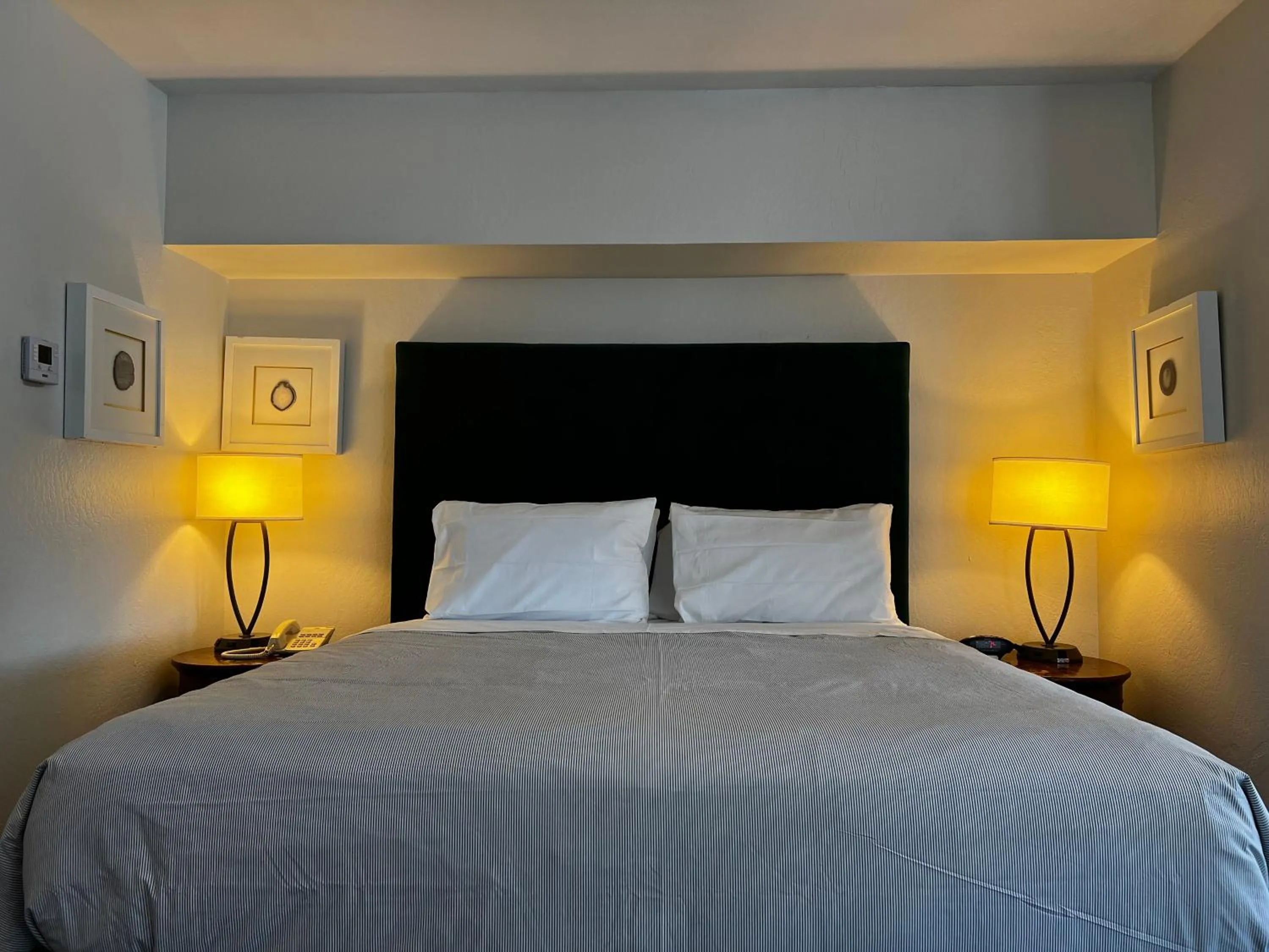 Junior Suite in Sterling Hotel