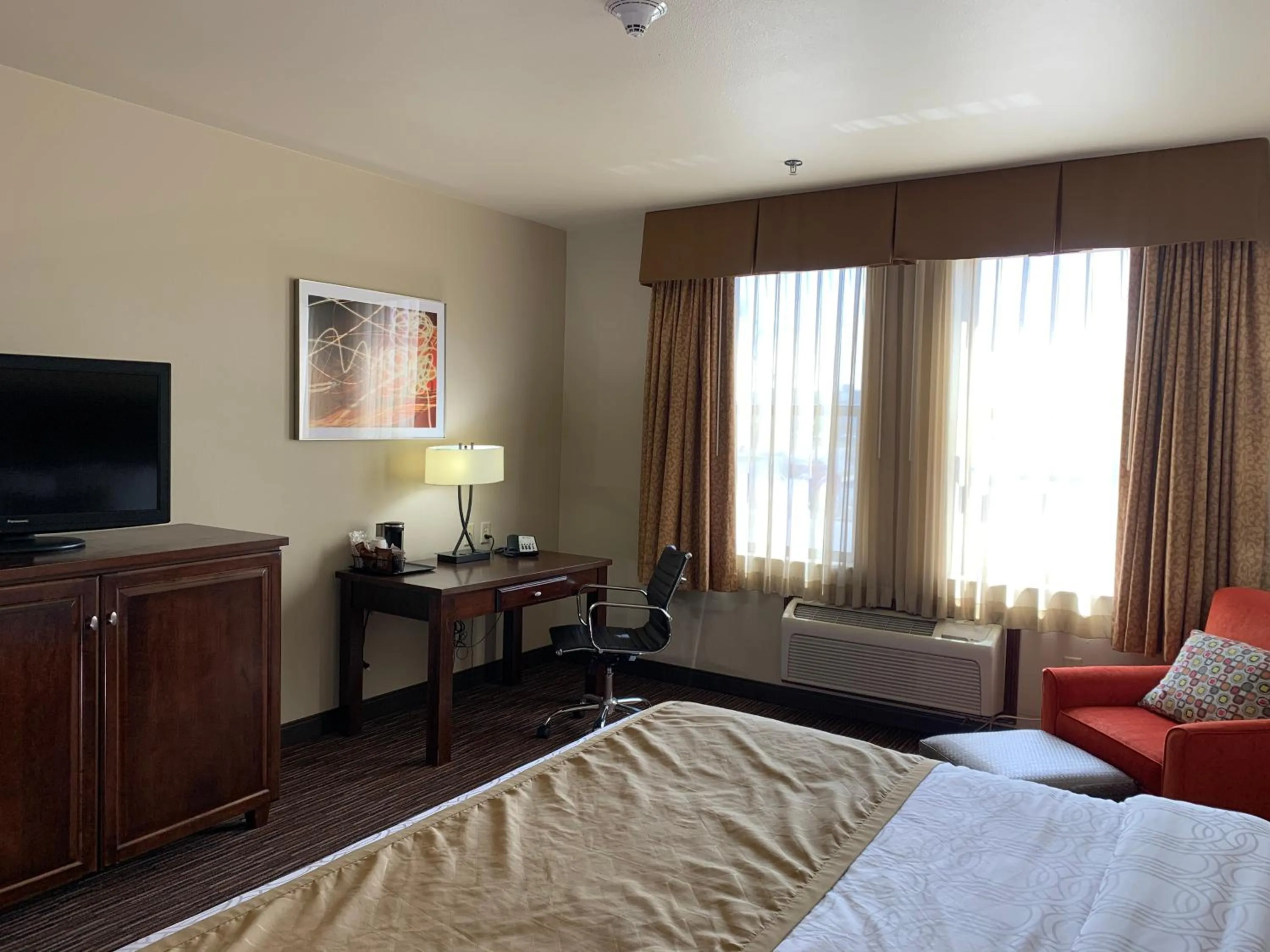 KING BED-NON SMOKING in Radisson Hotel River Falls