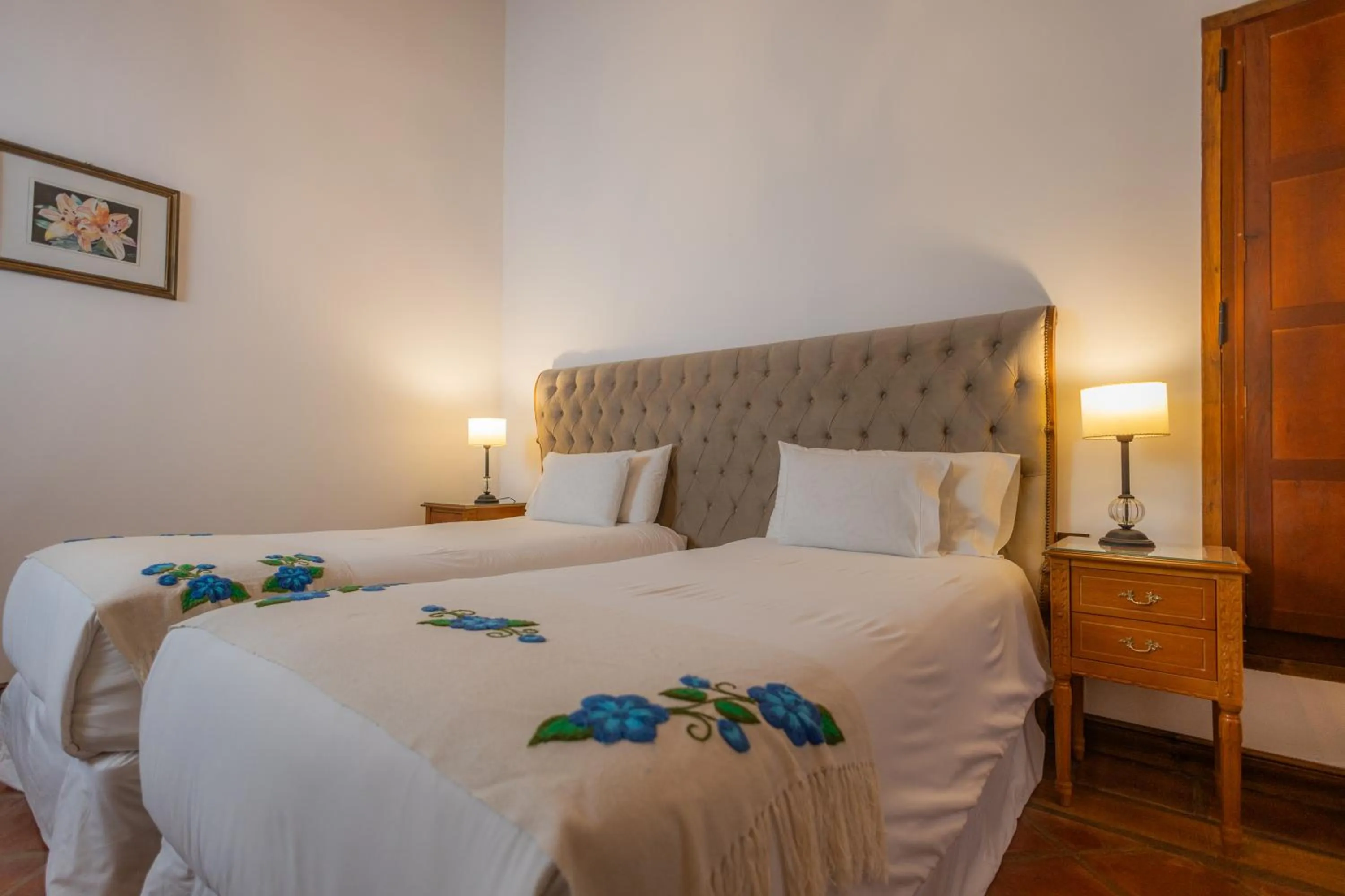 Superior Double or Twin Room in Iraola Hotel Boutique