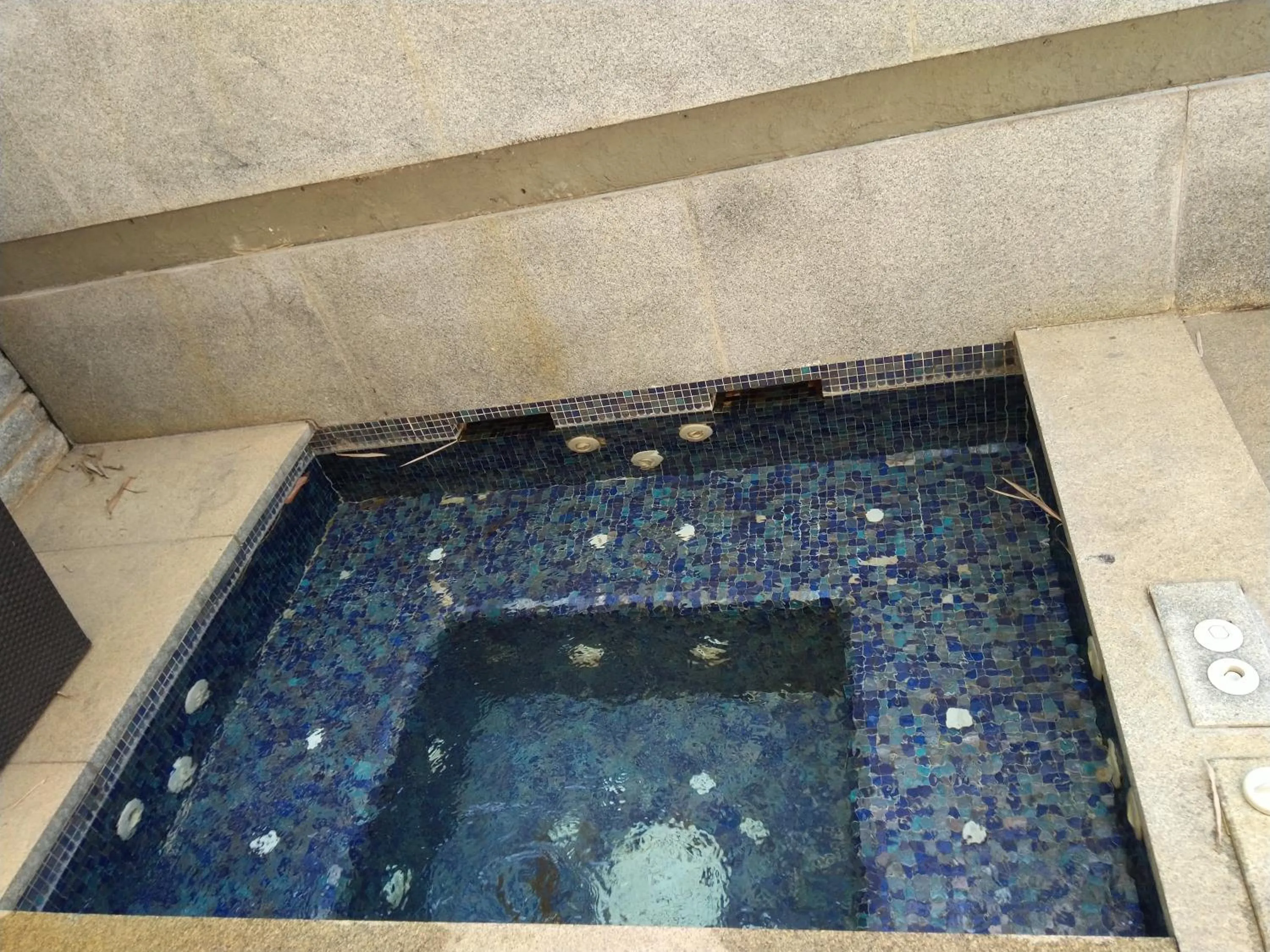 Jacuzzi Suite - single occupancy in Angsana Oasis Spa & Resort