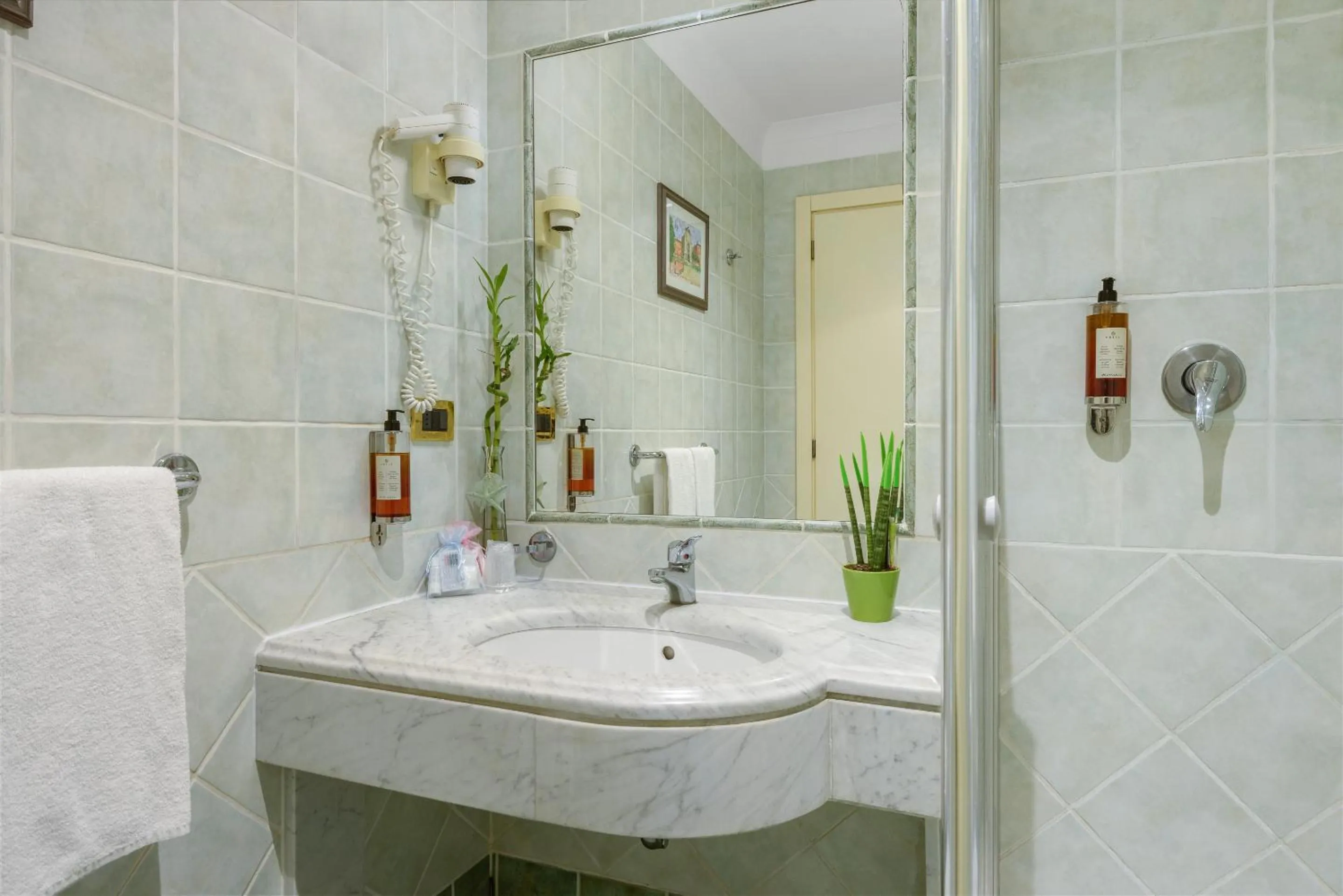 Double Room - Single Use in Gambrinus Hotel