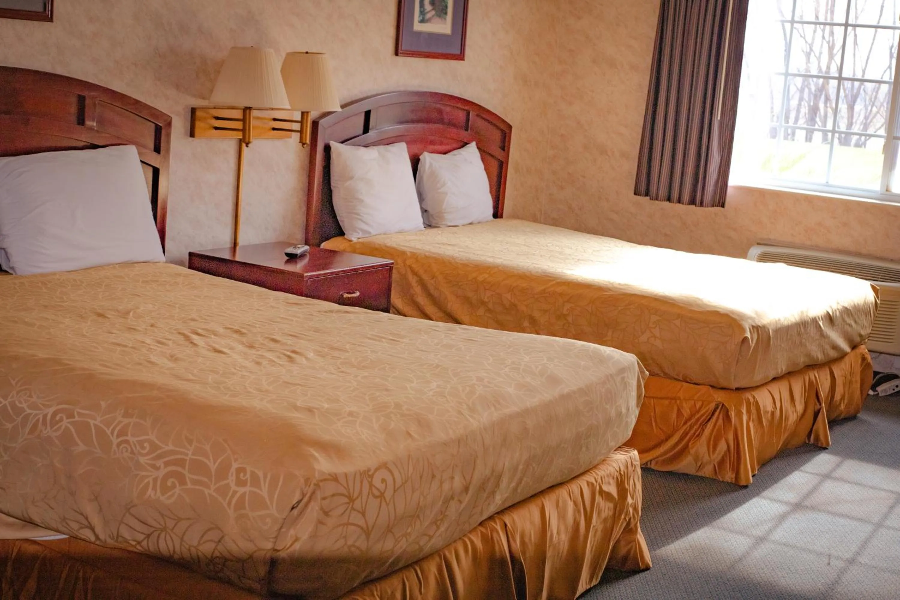 Standard Double Room in Colfax Inn By Marifah