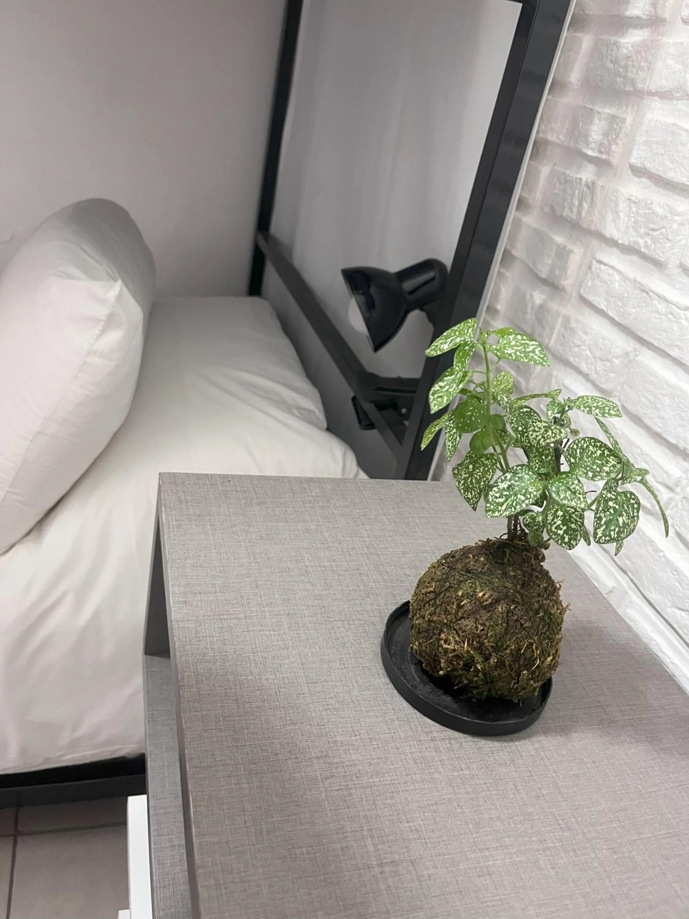 Twin Room with Private Bathroom - single occupancy in Selina Salta