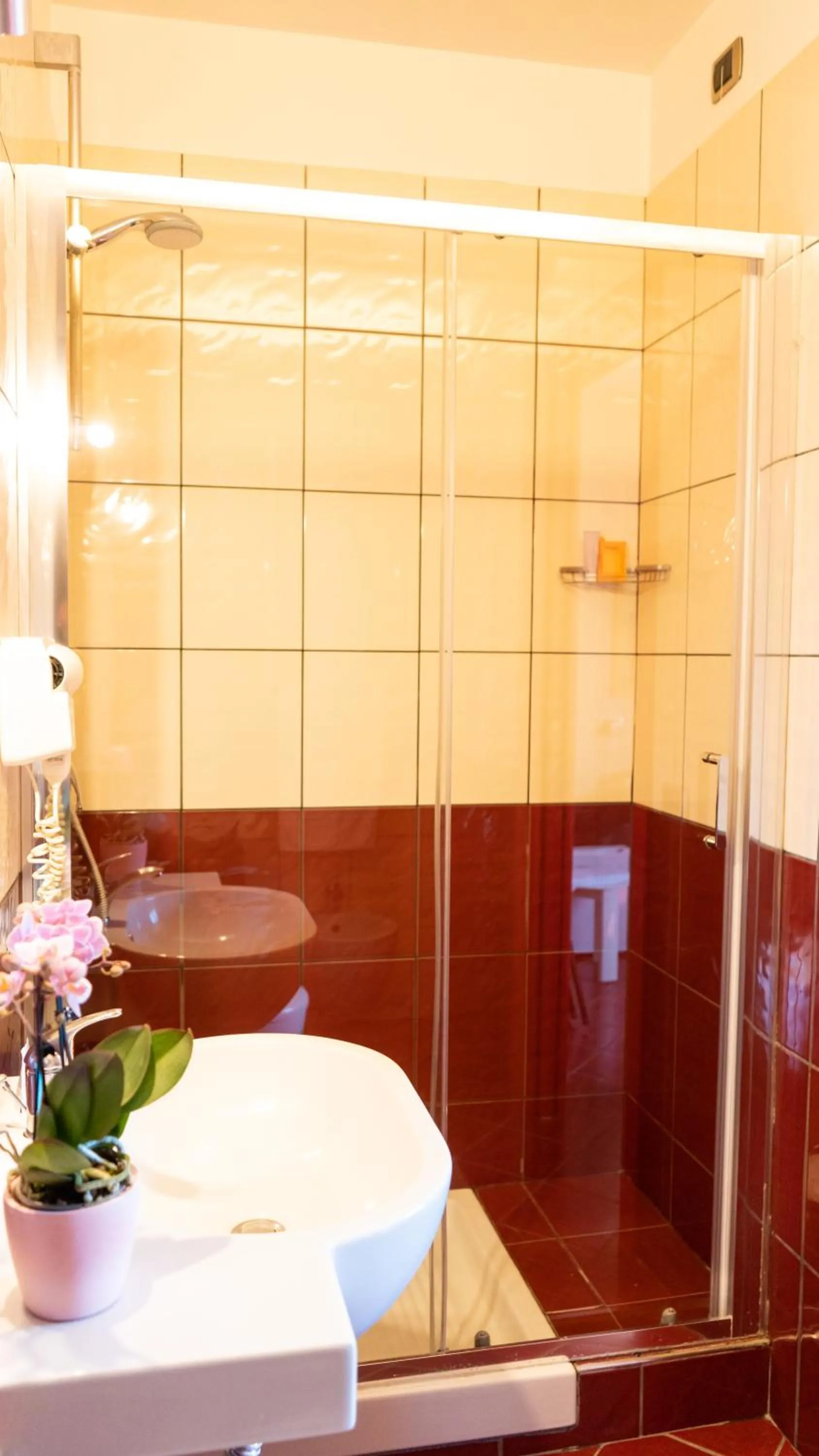 Single Room in Hotel Diana