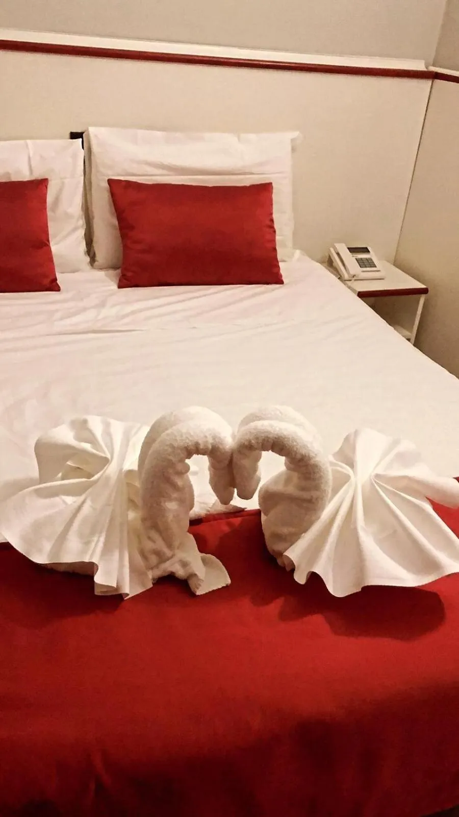 Standard Double Room in Hotel Leonardo