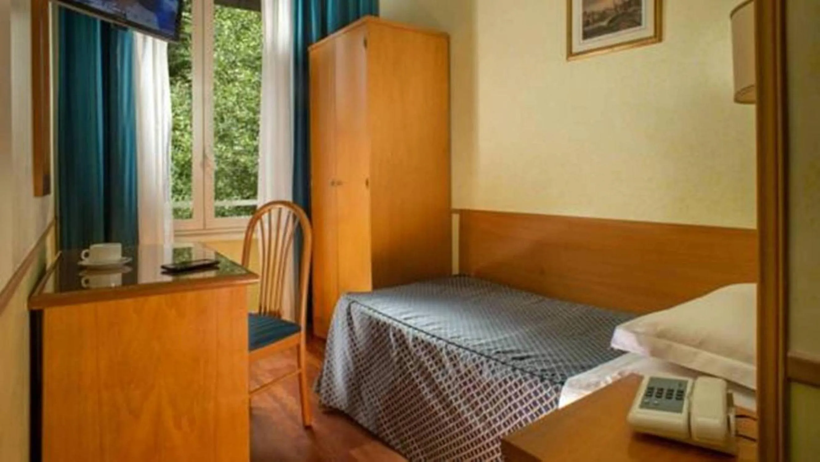 Single Room in Hotel Piemonte