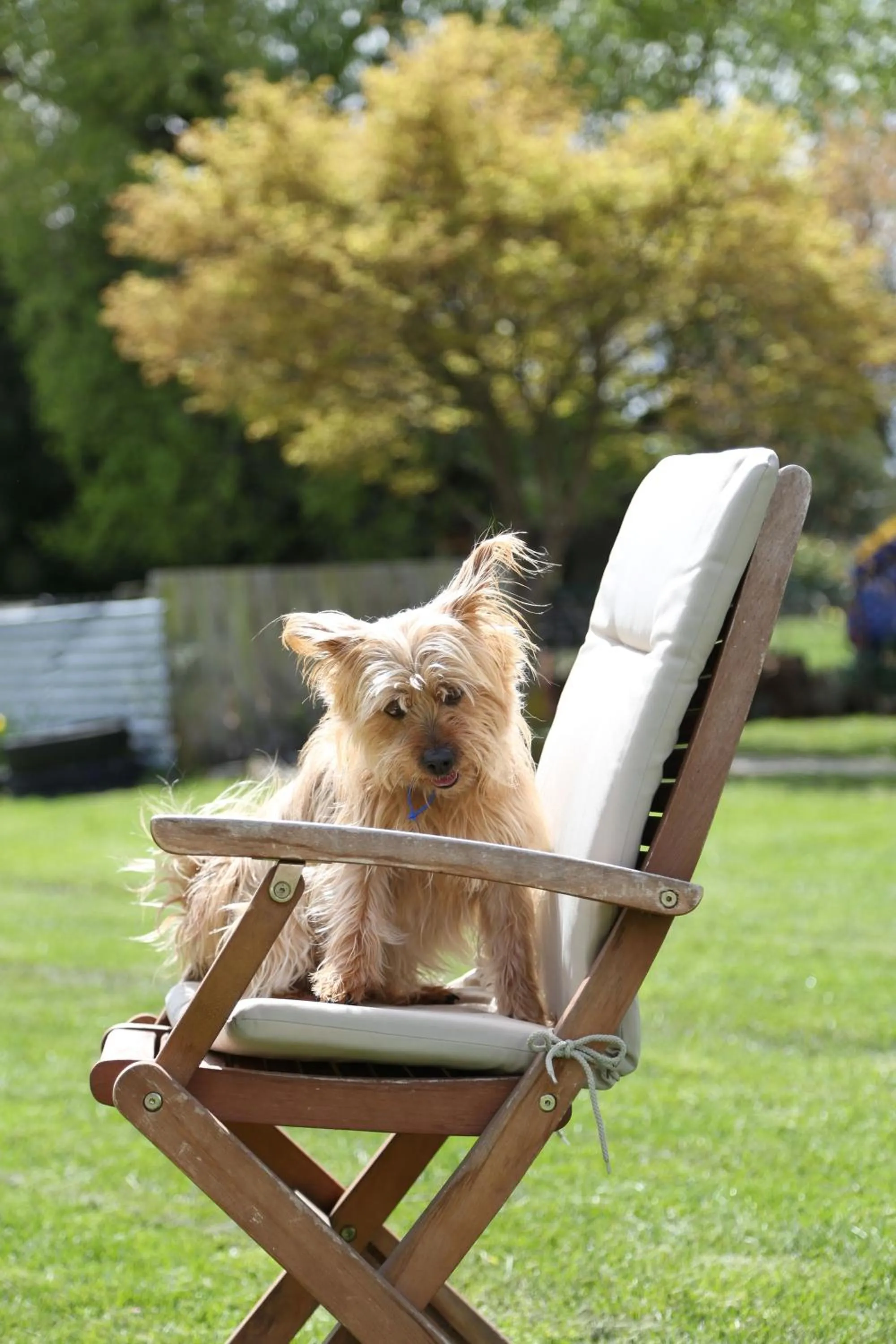 Two-Bedroom Apartment in Burkes Pass Country Motels