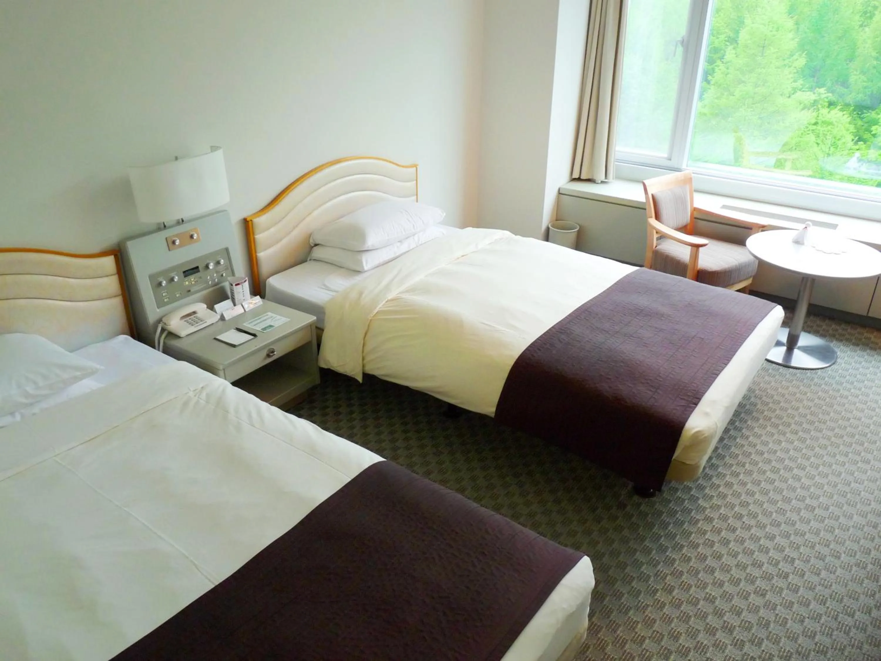 Twin Room with Mt.Tokachi View - single occupancy - Smoking - Upper Floor  in Shin Furano Prince Hotel