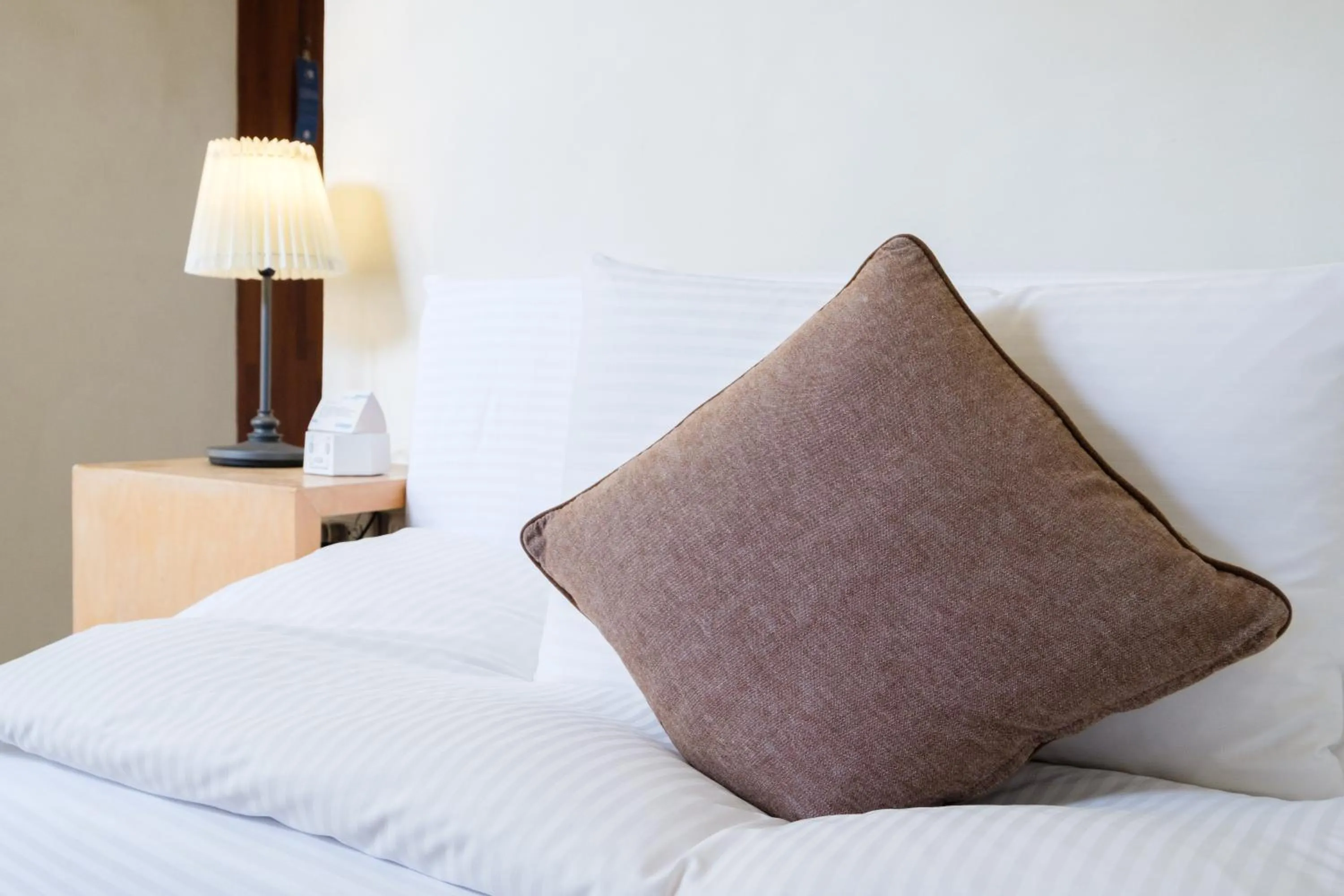 Single Room with Bath in SSS Life Hotel