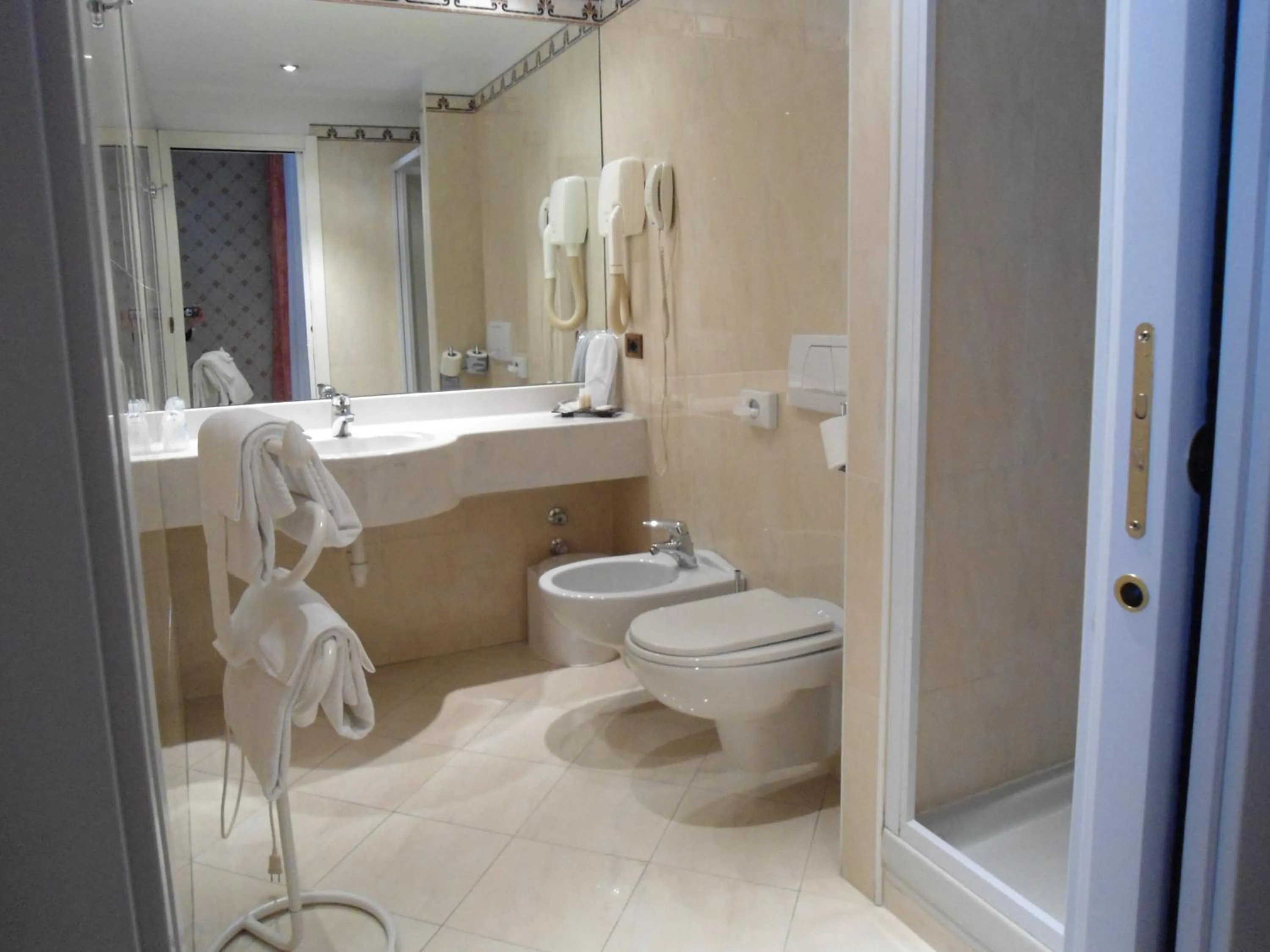 Double or Twin Room in Hotel Continental