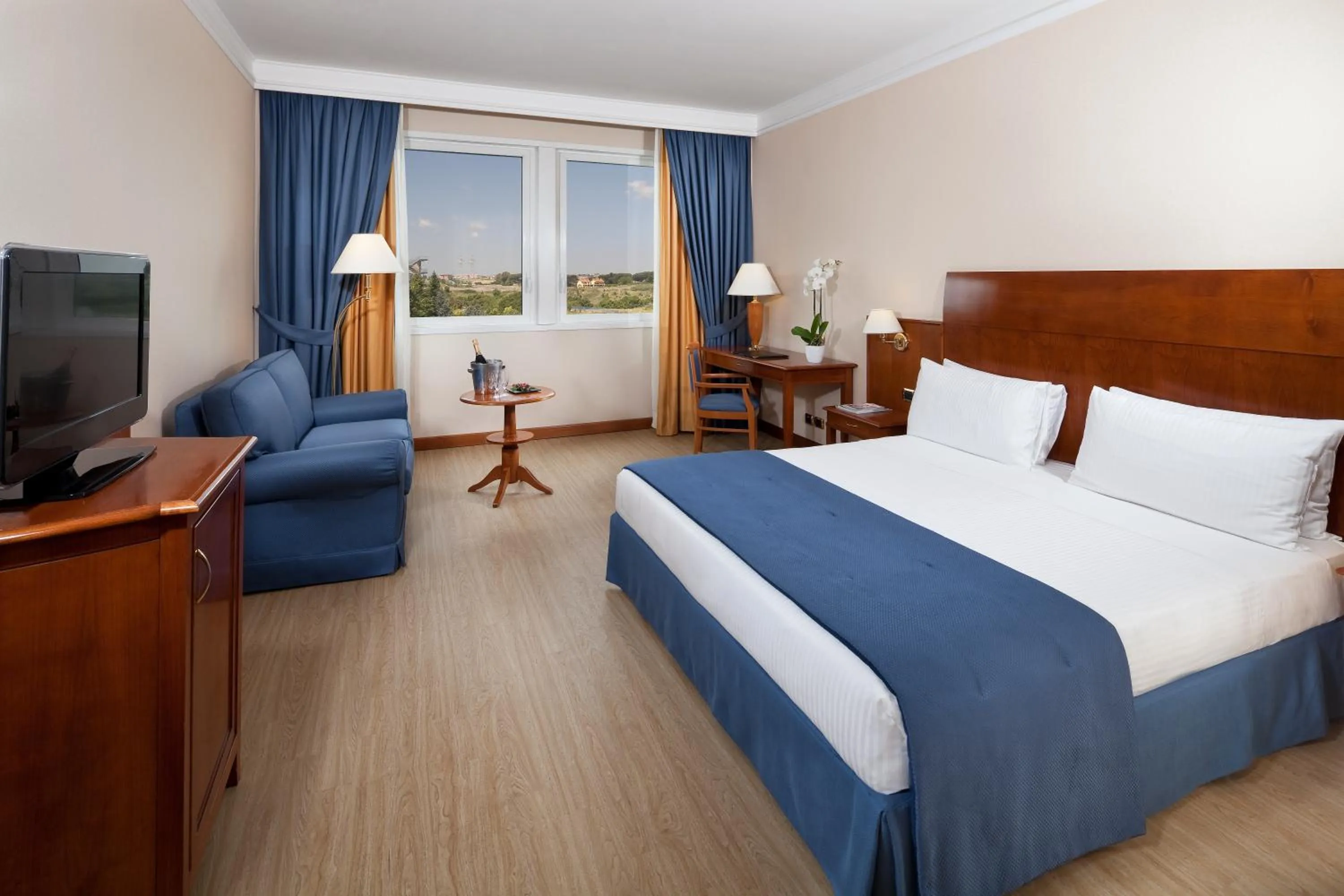 Superior Double or Twin Room in Hotel Roma Aurelia Antica