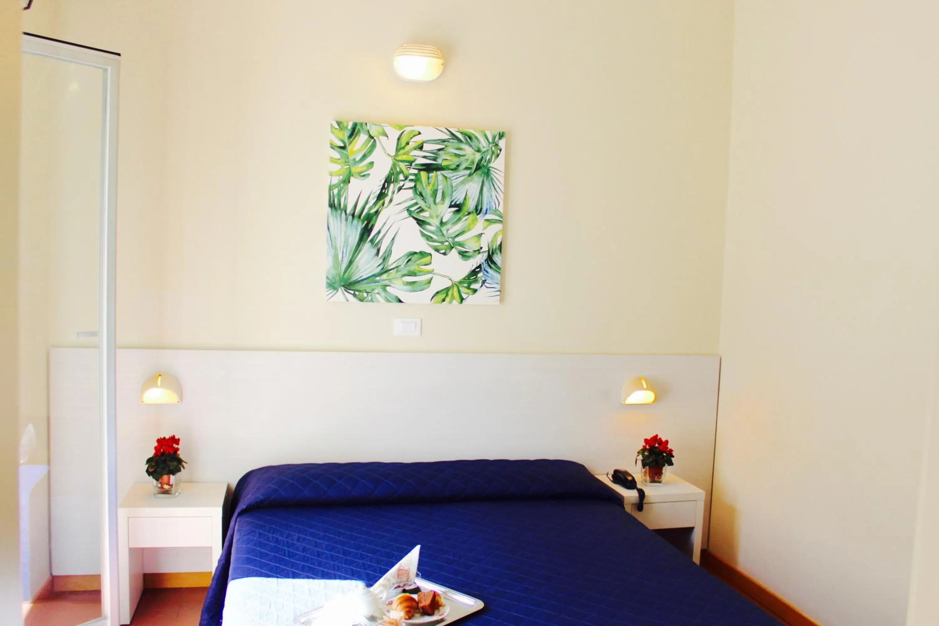 Standard Double Room in Hotel Fedora Rimini
