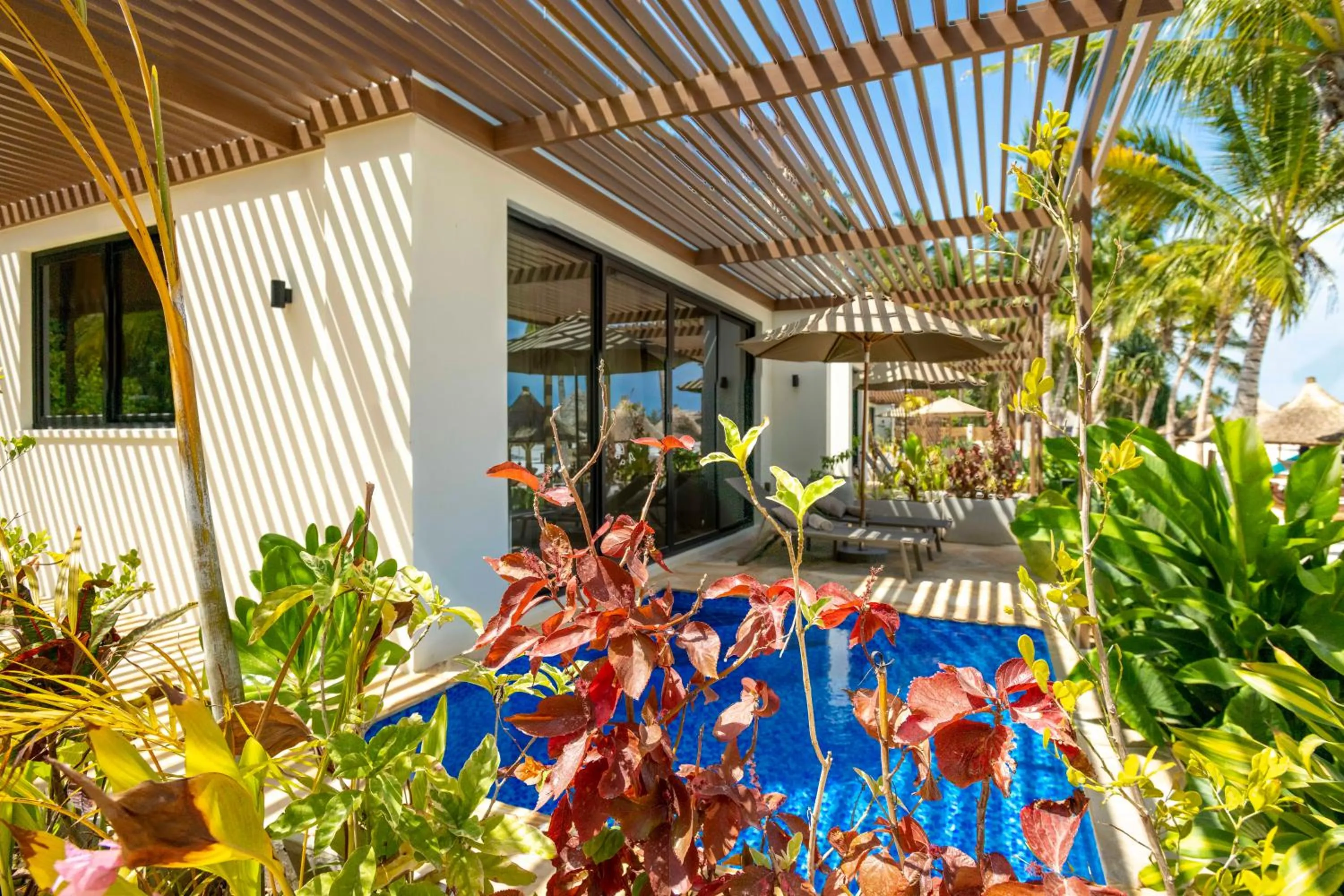 Honeymoon Suite with Private Pool - single occupancy in TOA Hotel & Spa Zanzibar