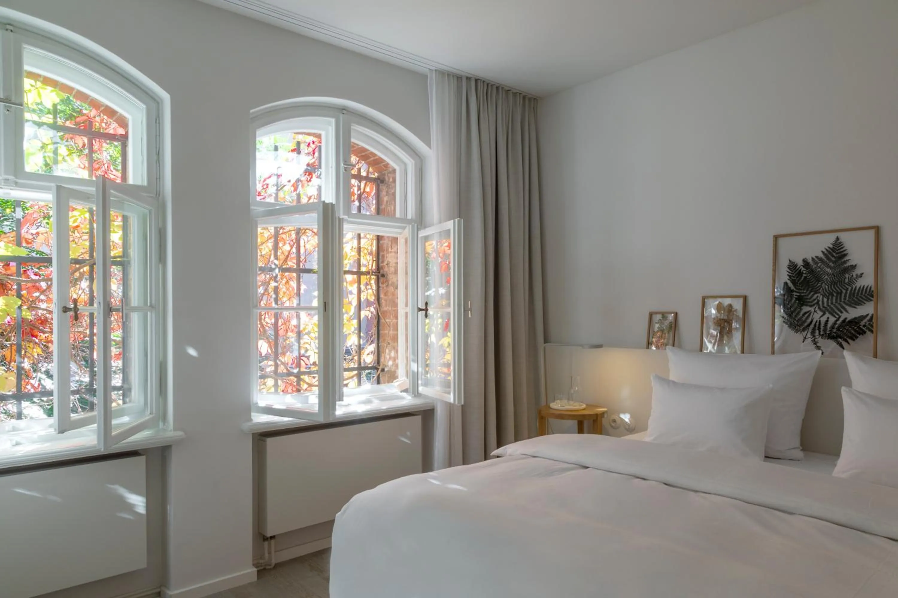 Garden View in Wilmina Hotel