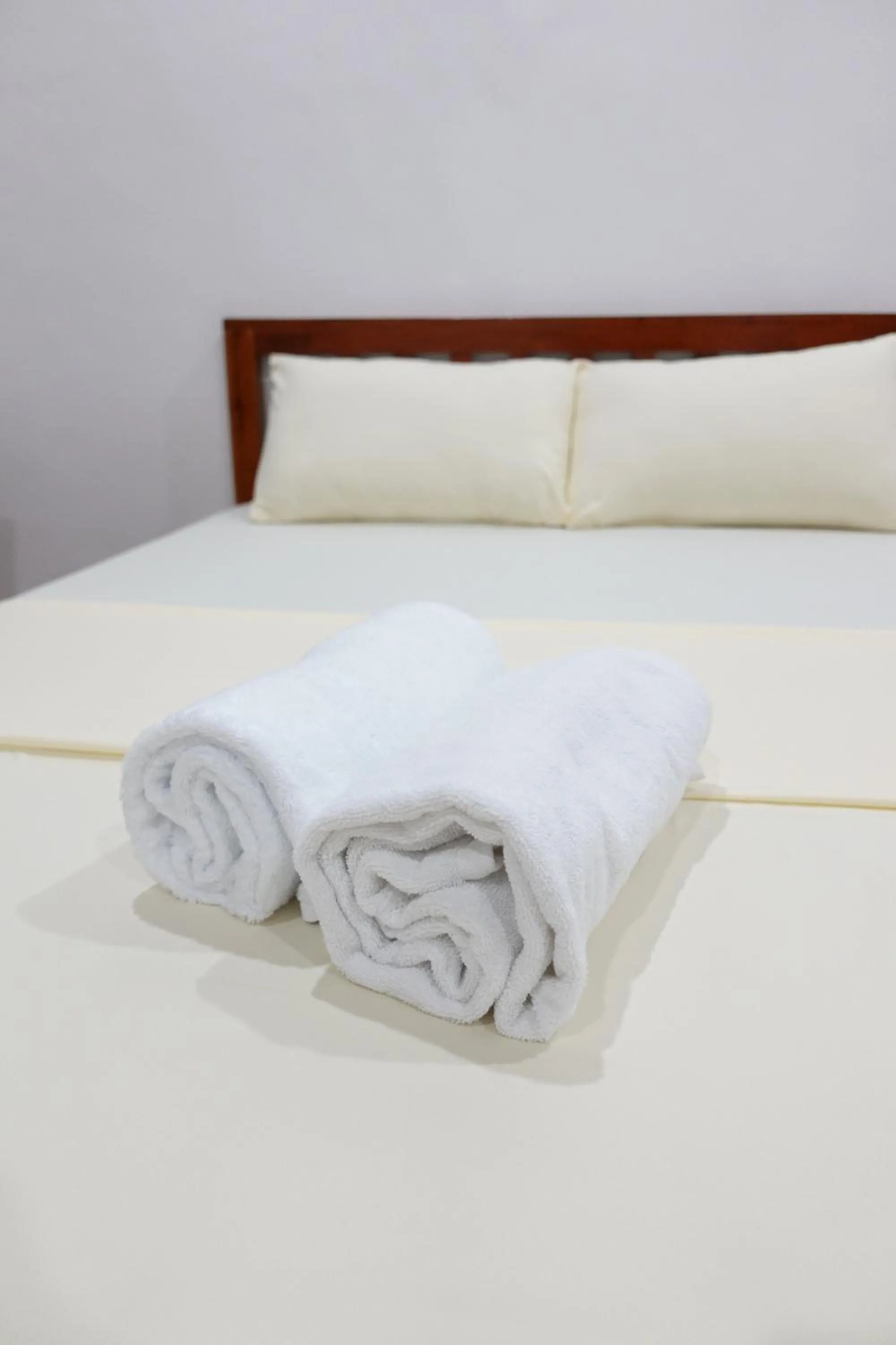 Deluxe Family Room in Badi's Place