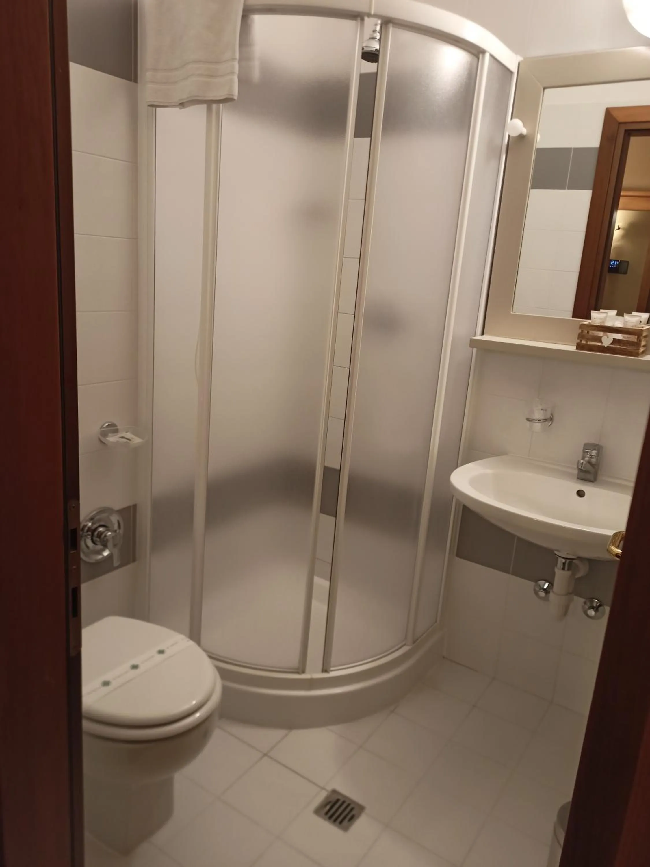 Single Room in Hotel Villa Malpensa