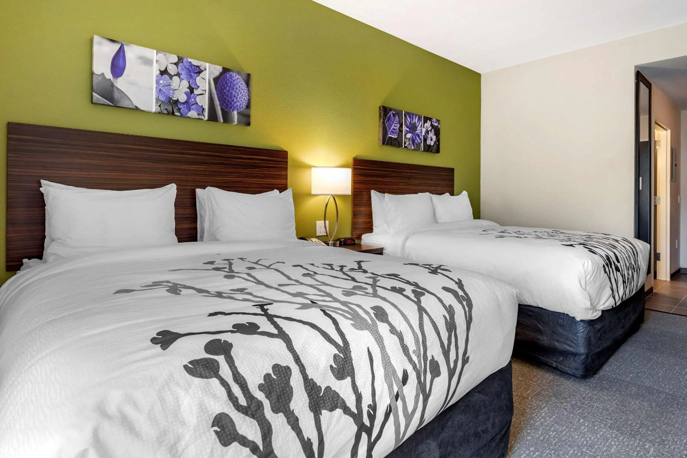 Standard Queen Room with Two Queen Beds - Non Smoking in Sleep Inn & Suites Crosby