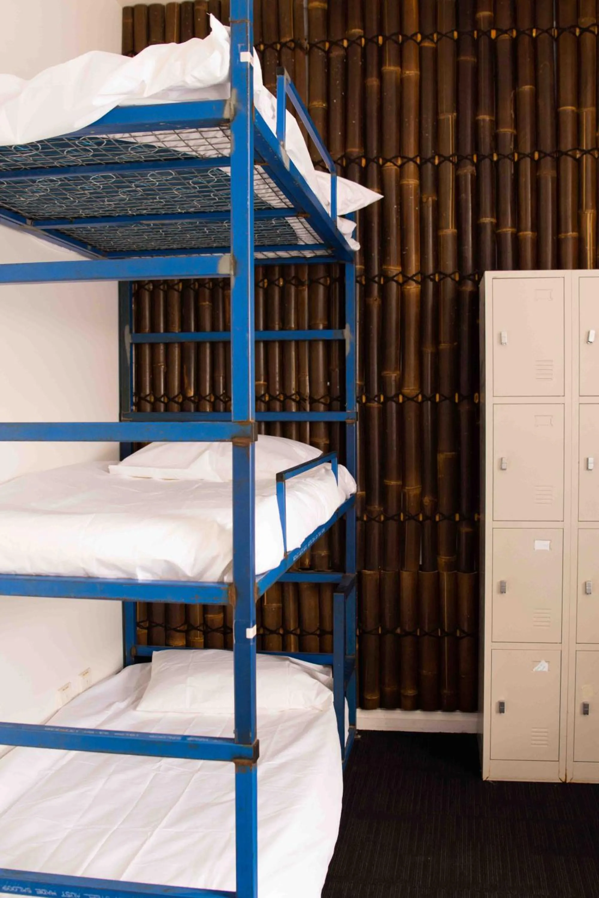 Bed in 6-Bed Female Dormitory Room in Bayside House