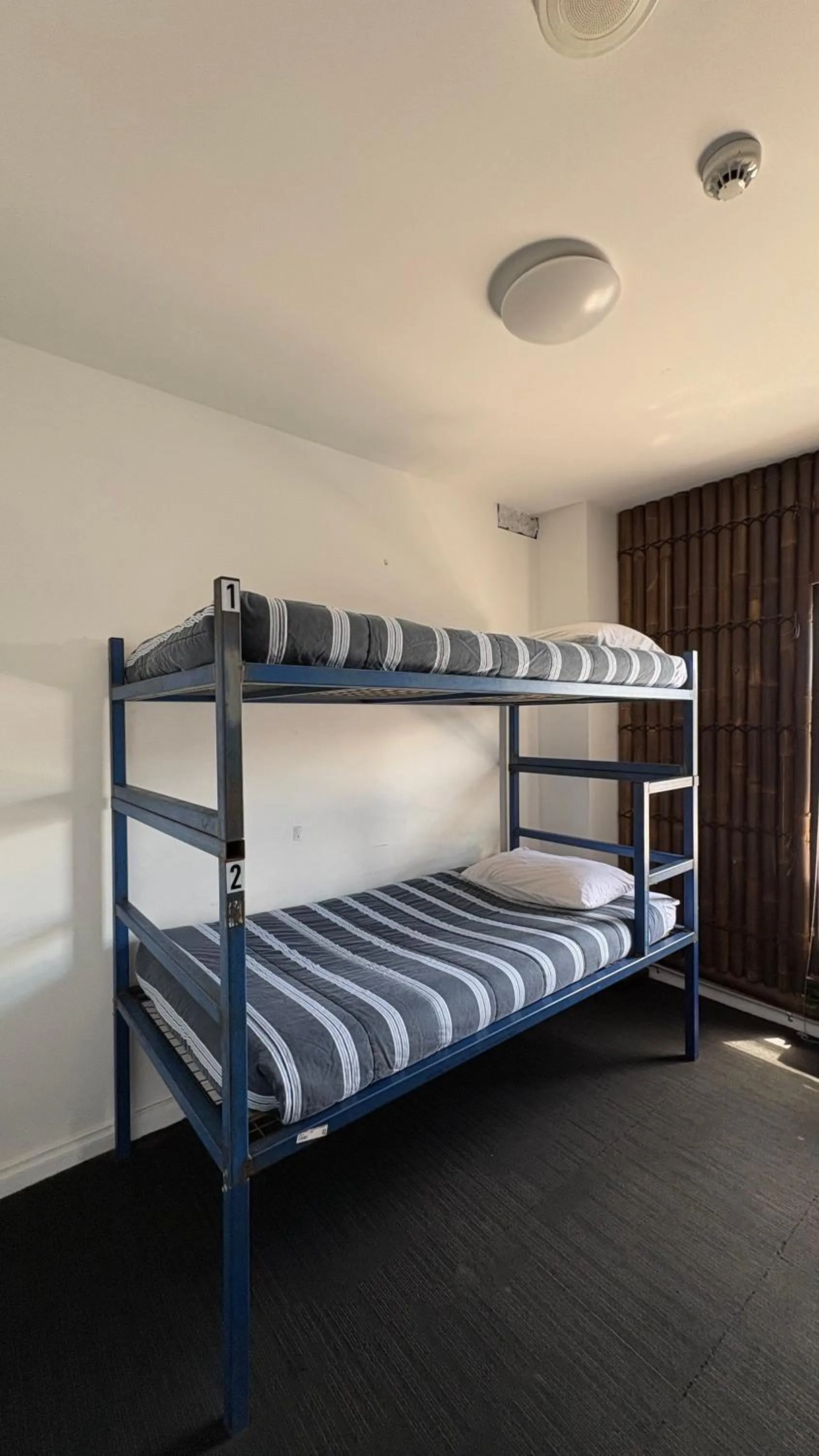 Bed in 6-Bed Female Dormitory Room in Bayside House