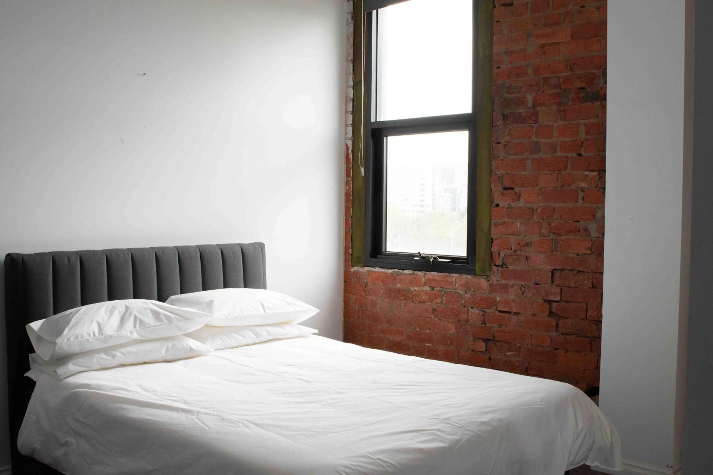 Superior Queen Room in Bayside House