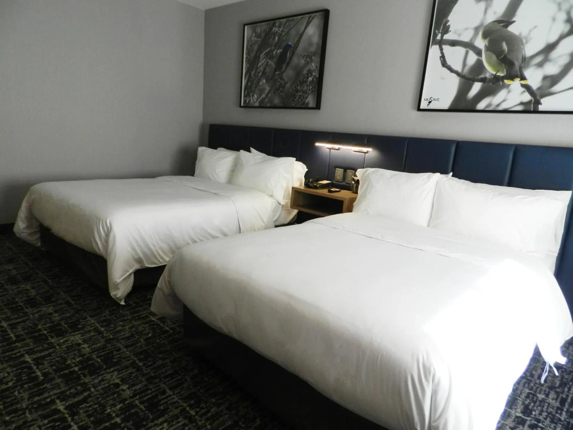 One-Bedroom Suite with Two Double Beds - Accessible in voco Saltillo Suites by IHG