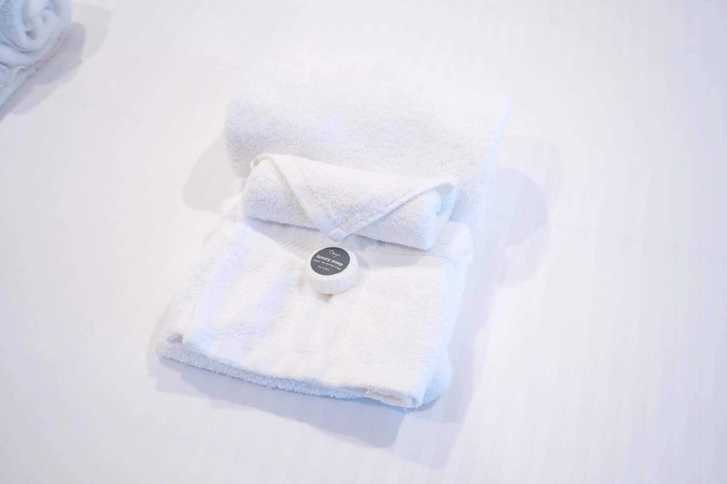 Standard Twin Room in The Belmont Hotel