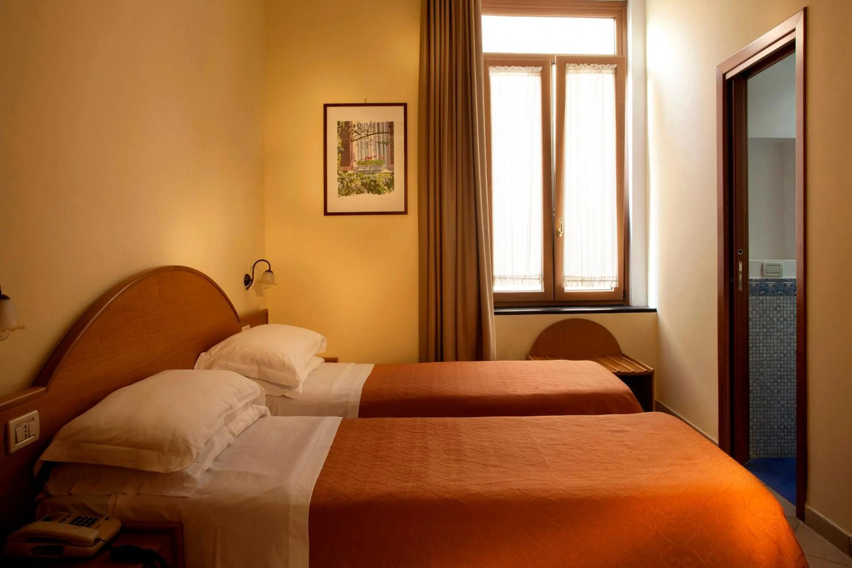 Double Room in Hotel Del Corso