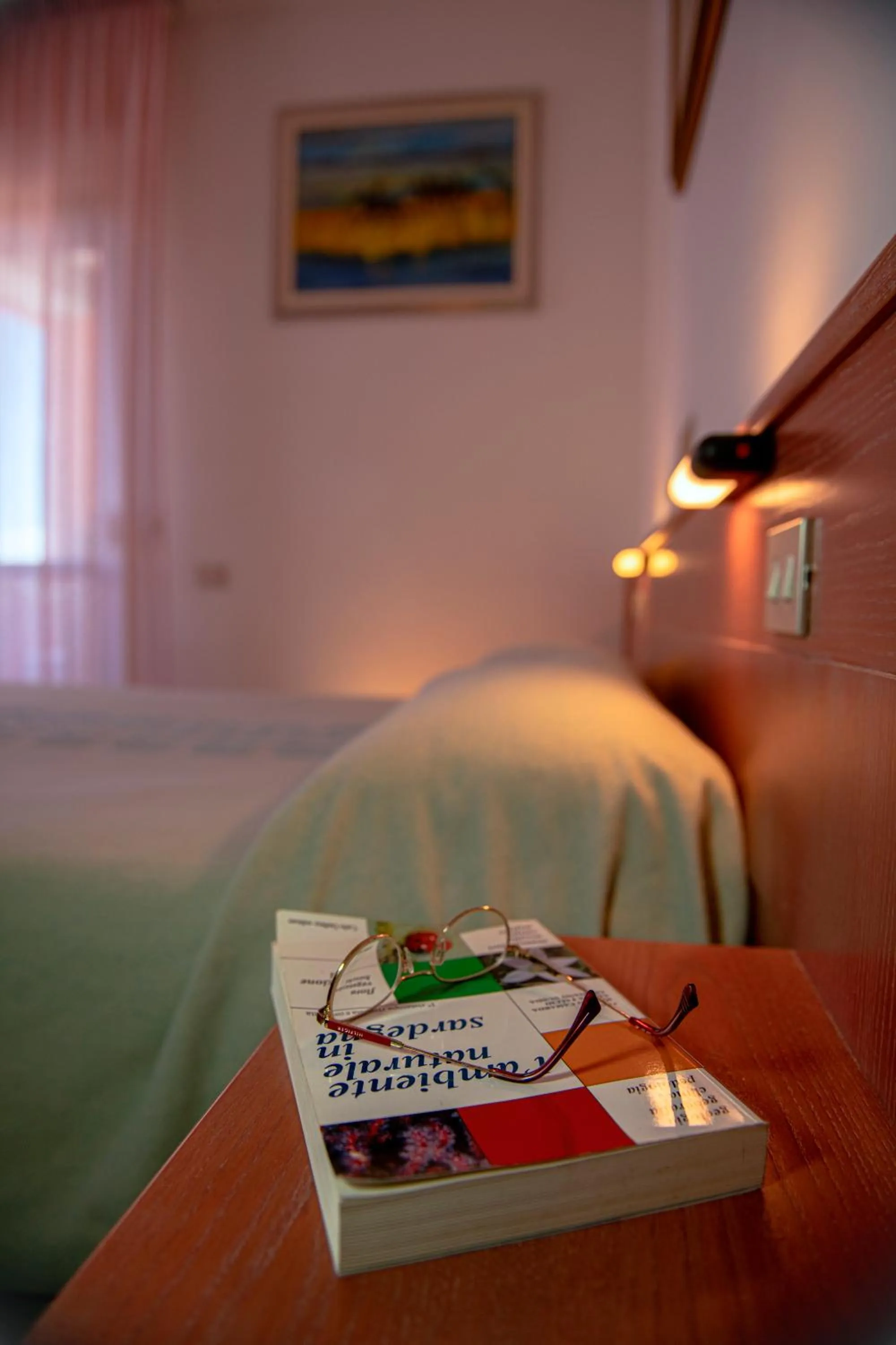 Single Room in Hotel Califfo