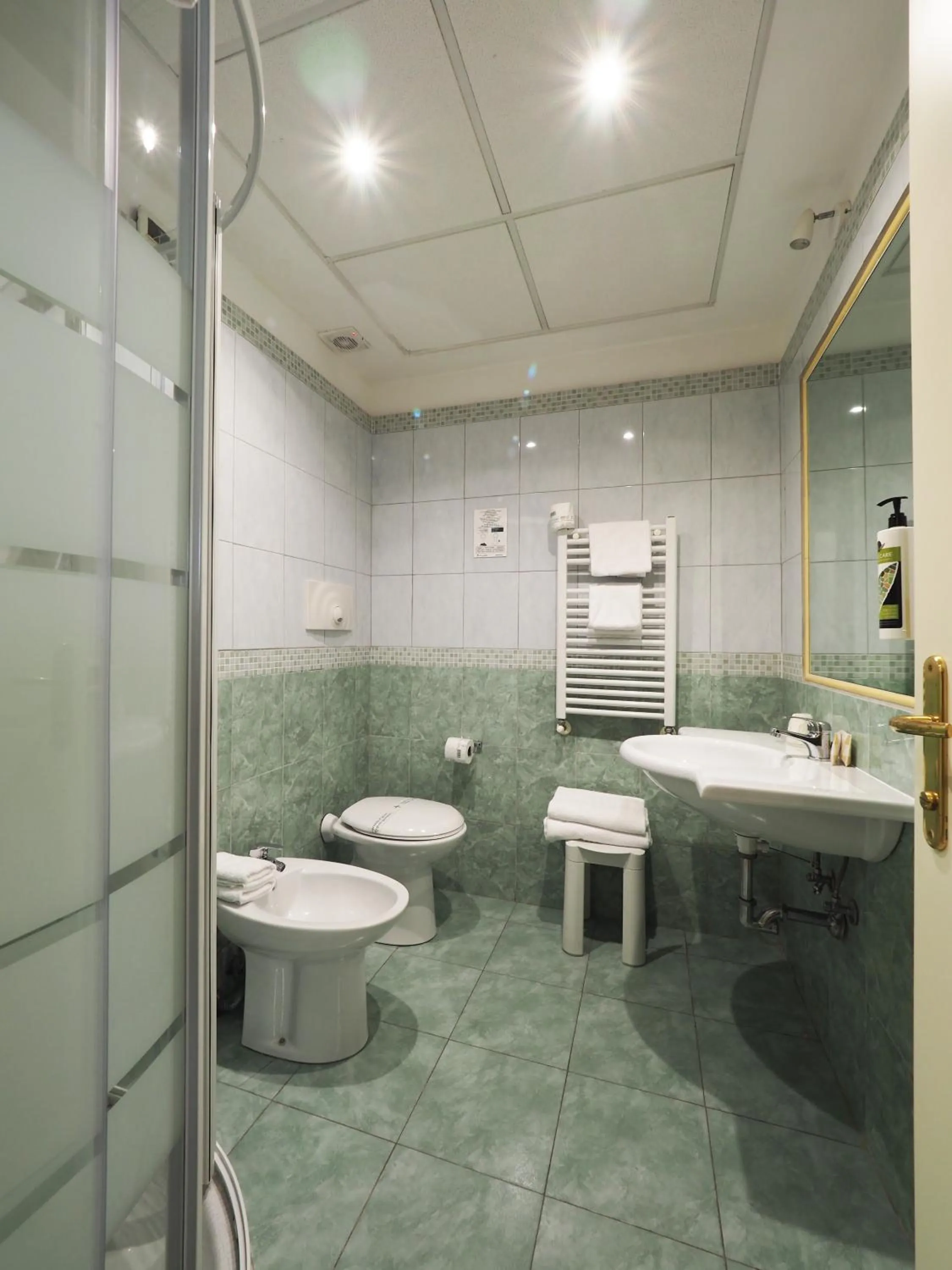 Single Room in Hotel Osimar