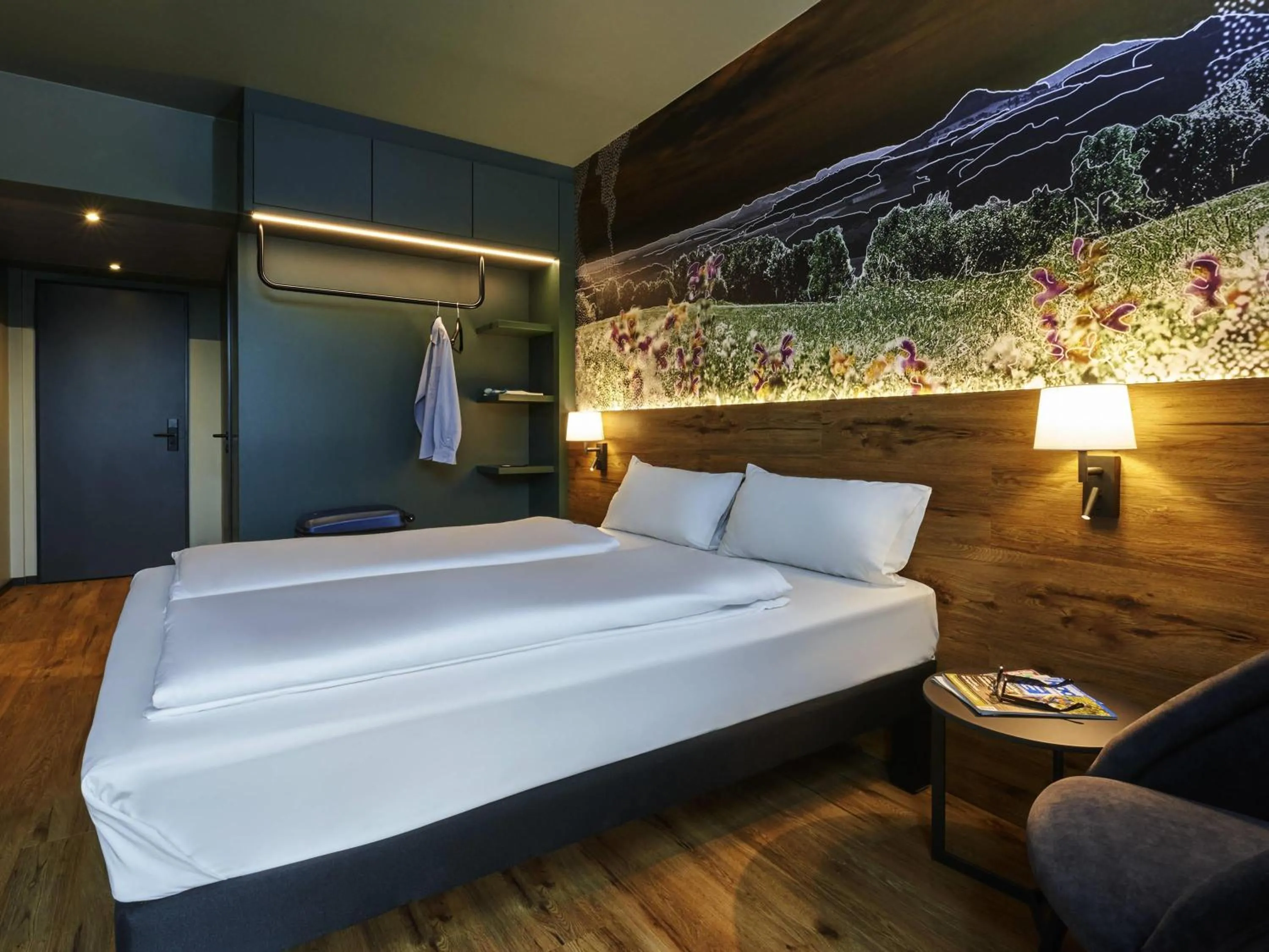 Standard Double Room - single occupancy in Ibis Styles Singen