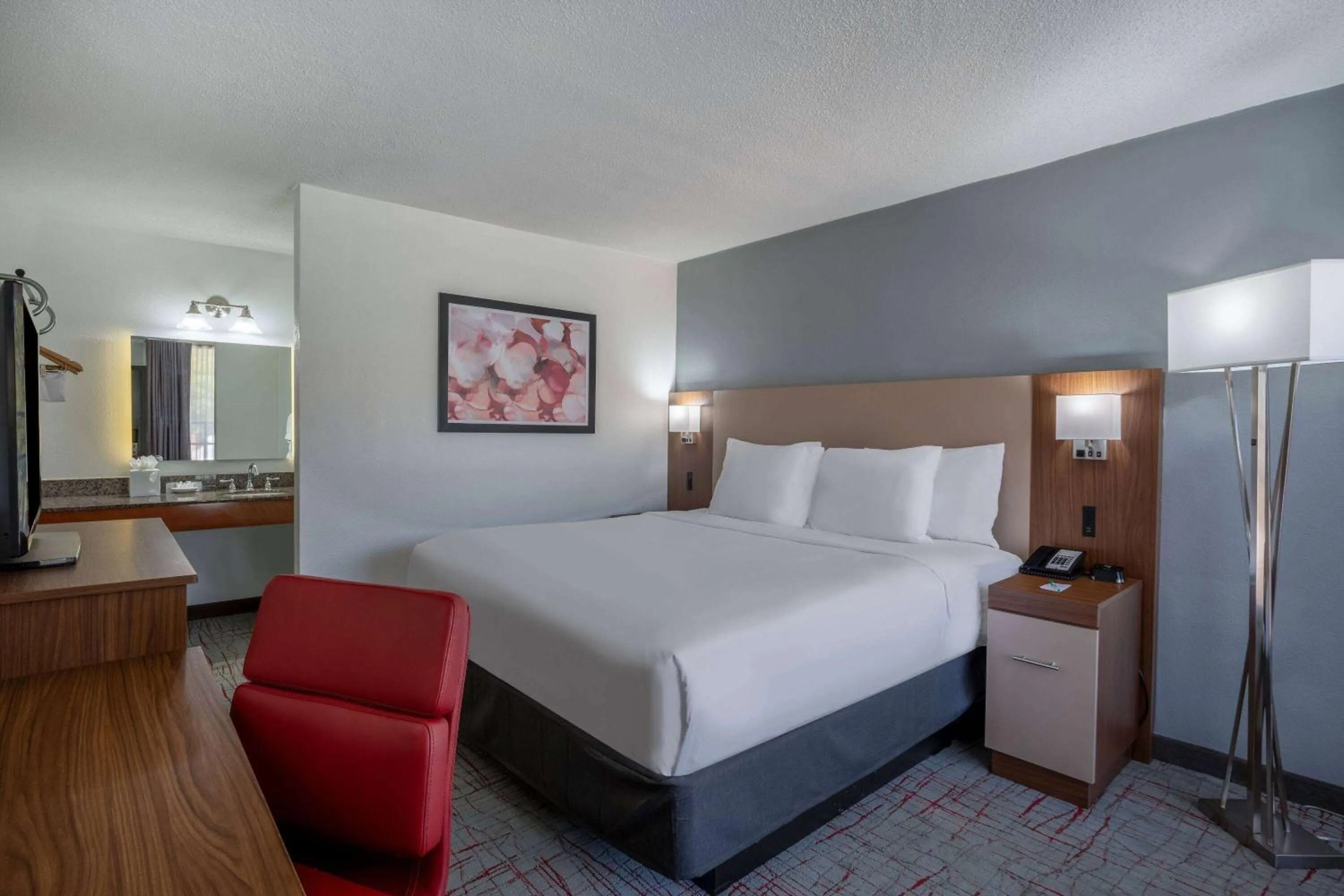 King Room with Garden View, Non-Smoking in Wyndham Garden Columbia-Ft Jackson