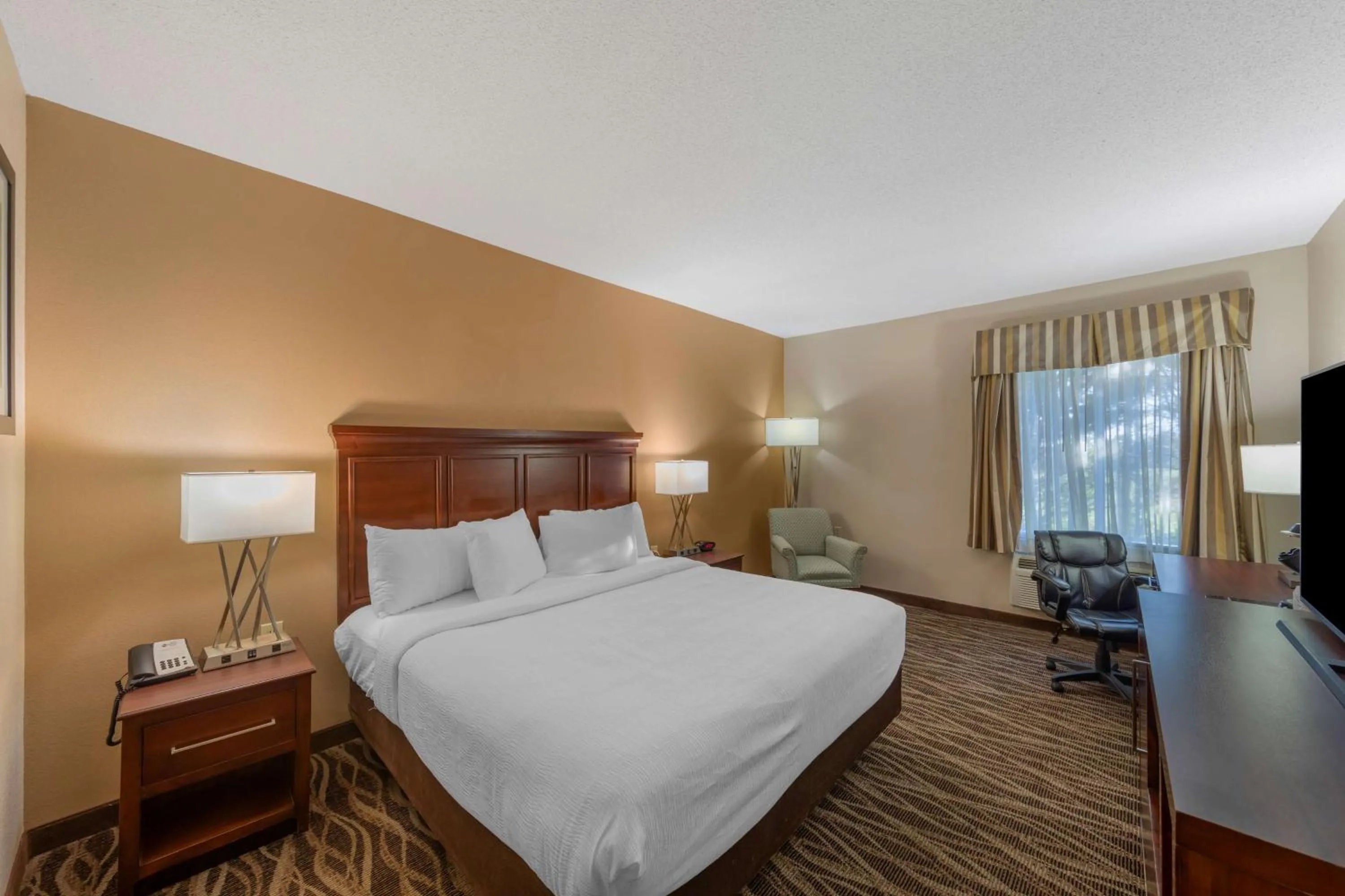 King Room - Disability Access in Best Western Plus Russellville Hotel & Suites