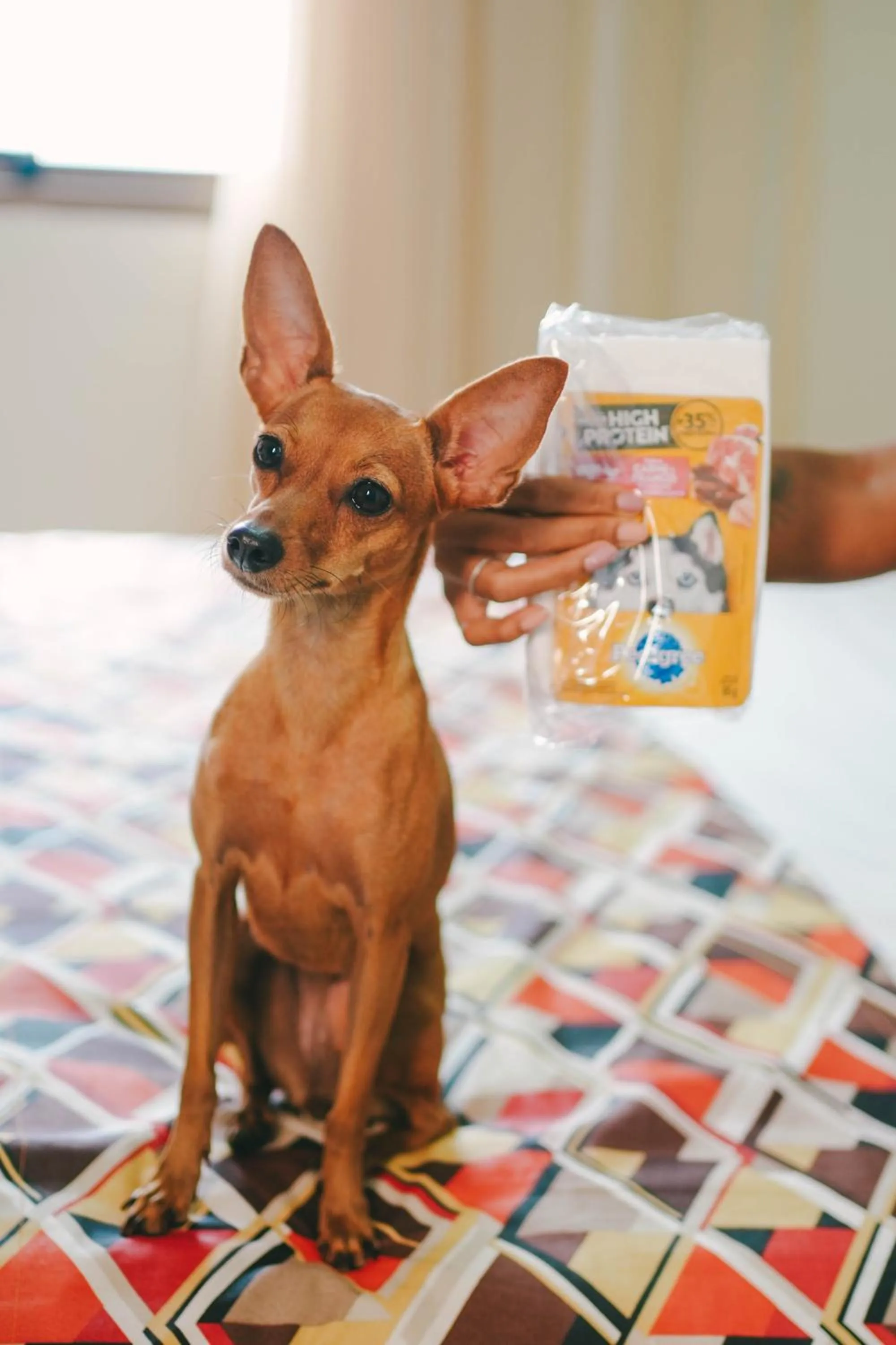 Standard Twin Room in Soft Win Hotel São Luís