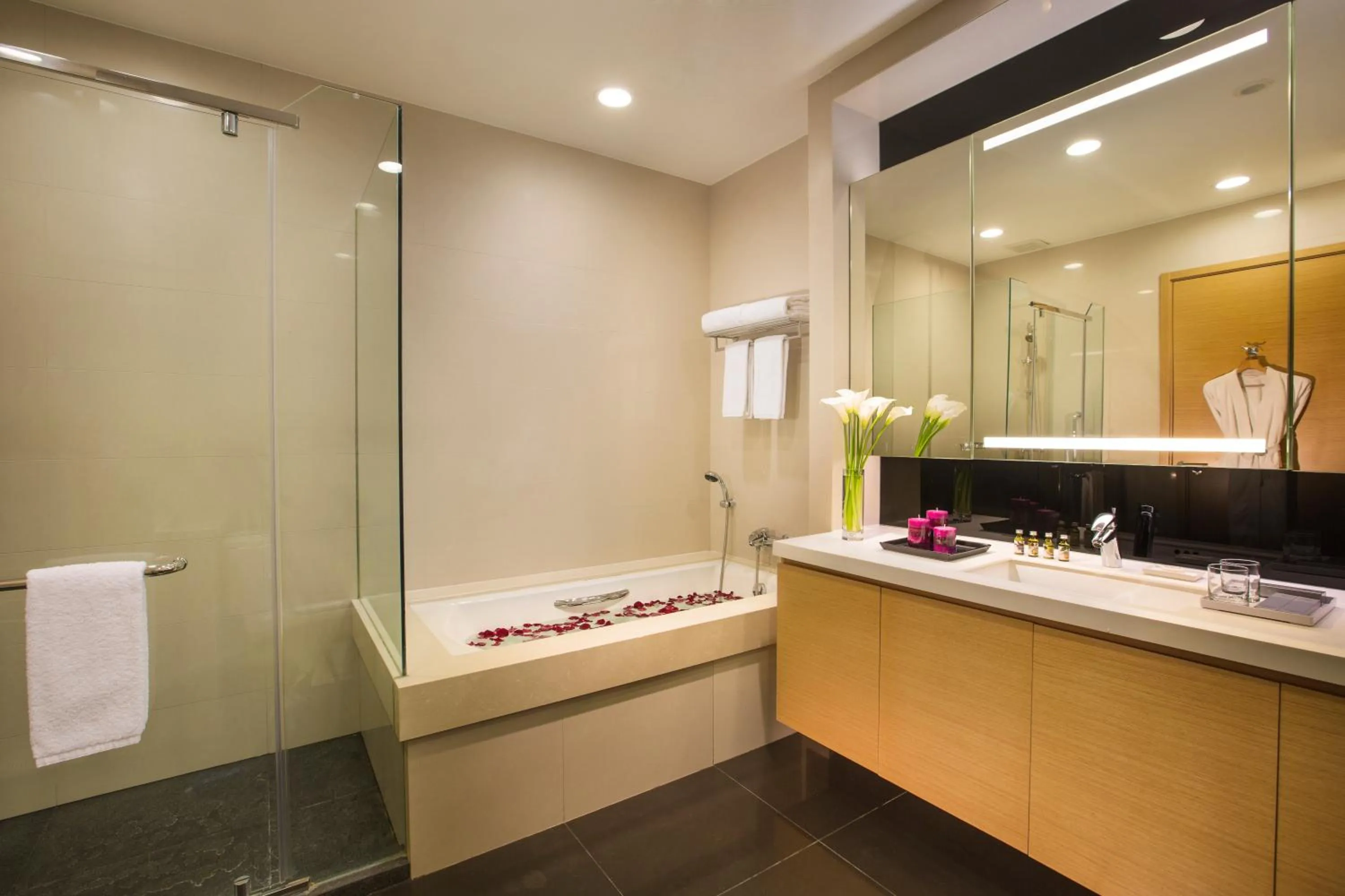 Three-Bedroom Executive  in Somerset Grand Central Dalian