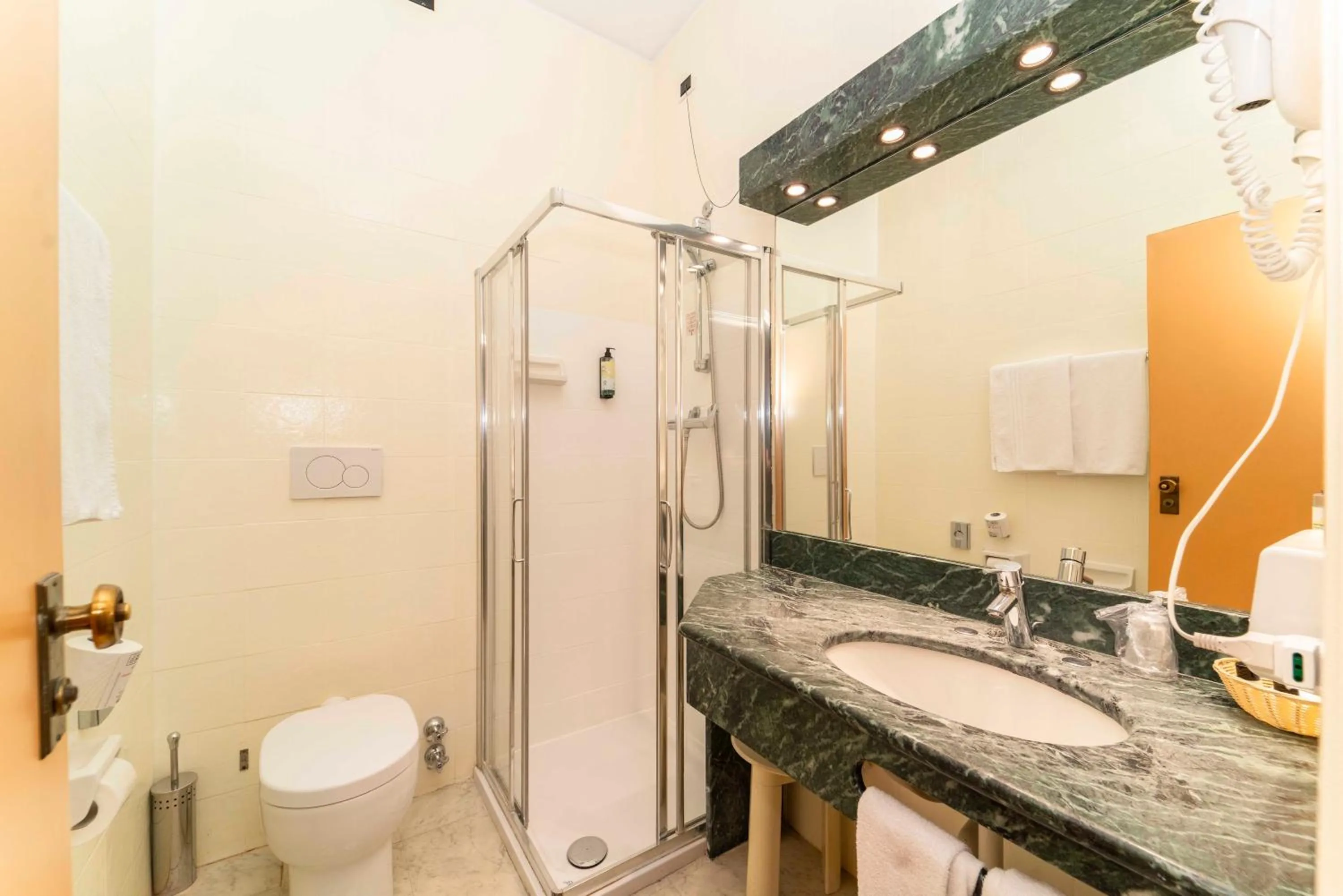 Economy Single Room in Hotel Royal Torino Centro Congressi